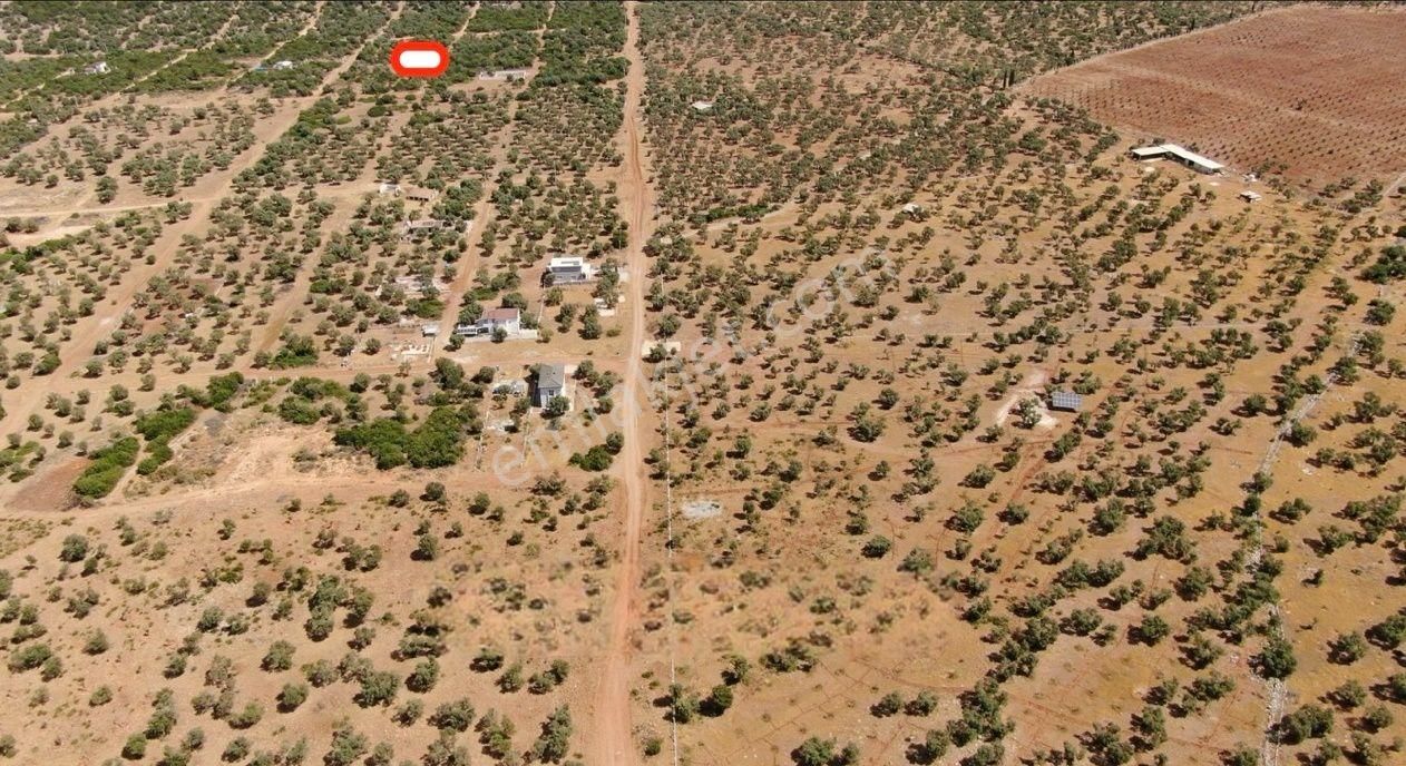 Didim Akyeniköy Kardelen'de Villa Arsası 300 M2 - Görsel 3