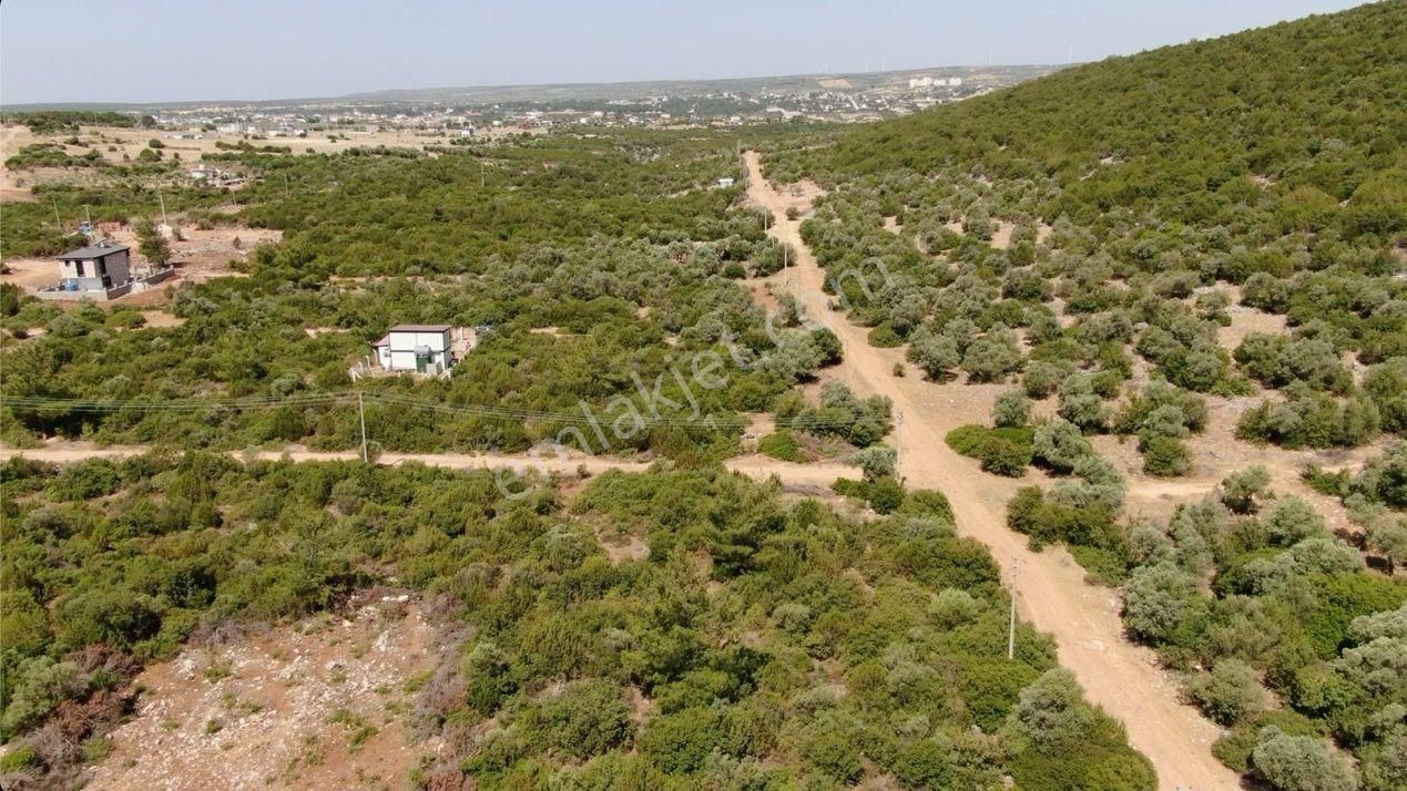 Didim Akyeniköy Kardelen'de Villa Arsası 300 M2 - Görsel 6