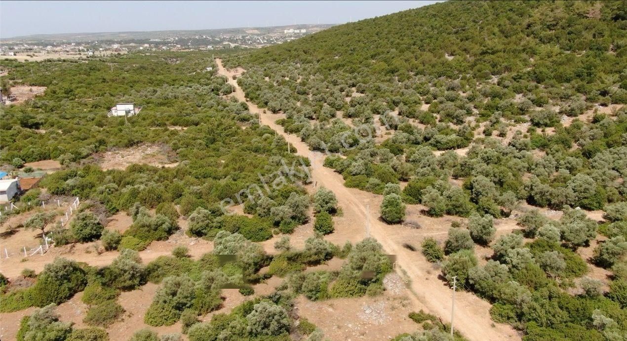 Didim Akyeniköy Kardelen'de Villa Arsası 300 M2 - Görsel 13