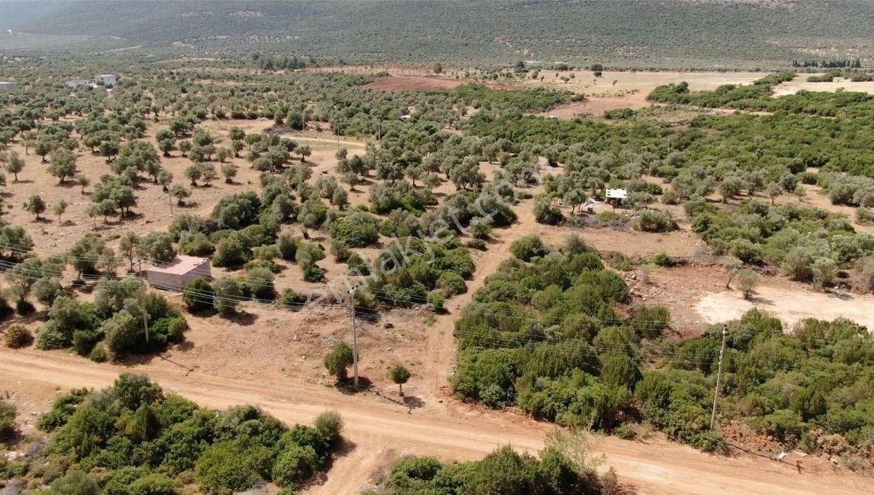 Didim Akyeniköy Kardelen'de Villa Arsası 300 M2 - Görsel 14