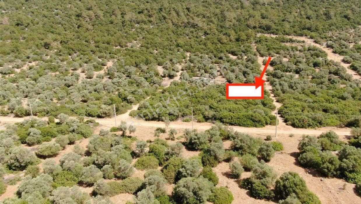 Didim Akyeniköy Kardelen'de Villa Arsası 300 M2 - Görsel 15