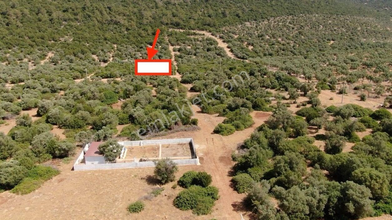 Didim Akyeniköy Kardelen'de Villa Arsası 300 M2 - Görsel 12