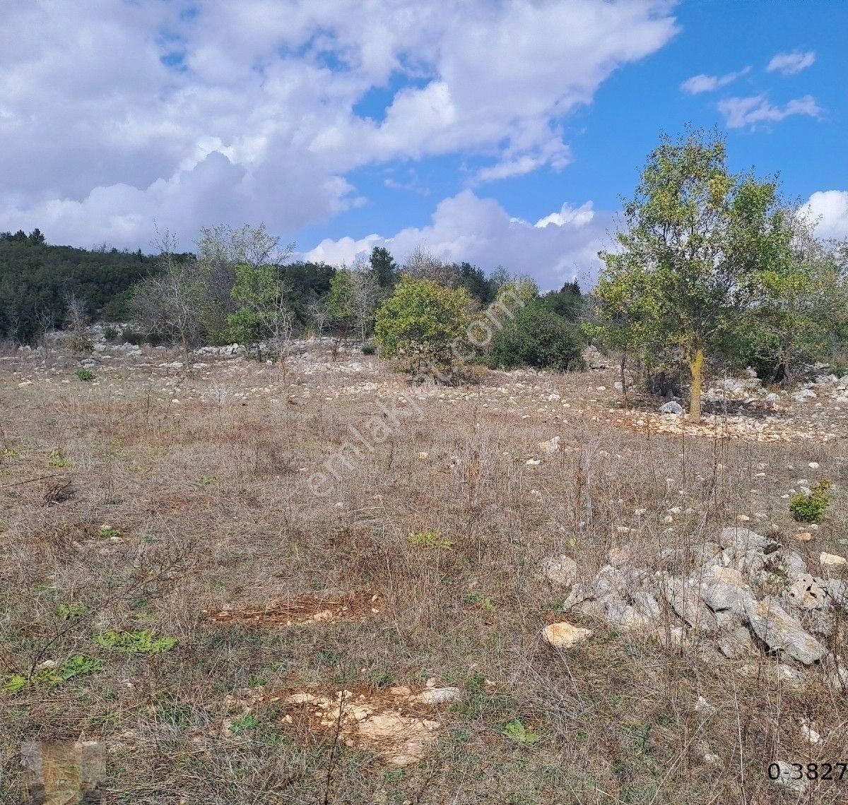 Asyadan Tarsus Beylice Mevkide Yatırımlık Tarla - Görsel 6
