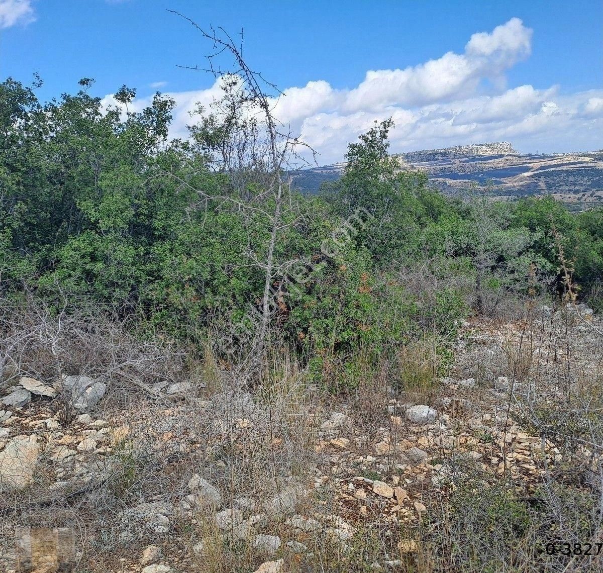 Asyadan Tarsus Beylice Mevkide Yatırımlık Tarla - Görsel 5