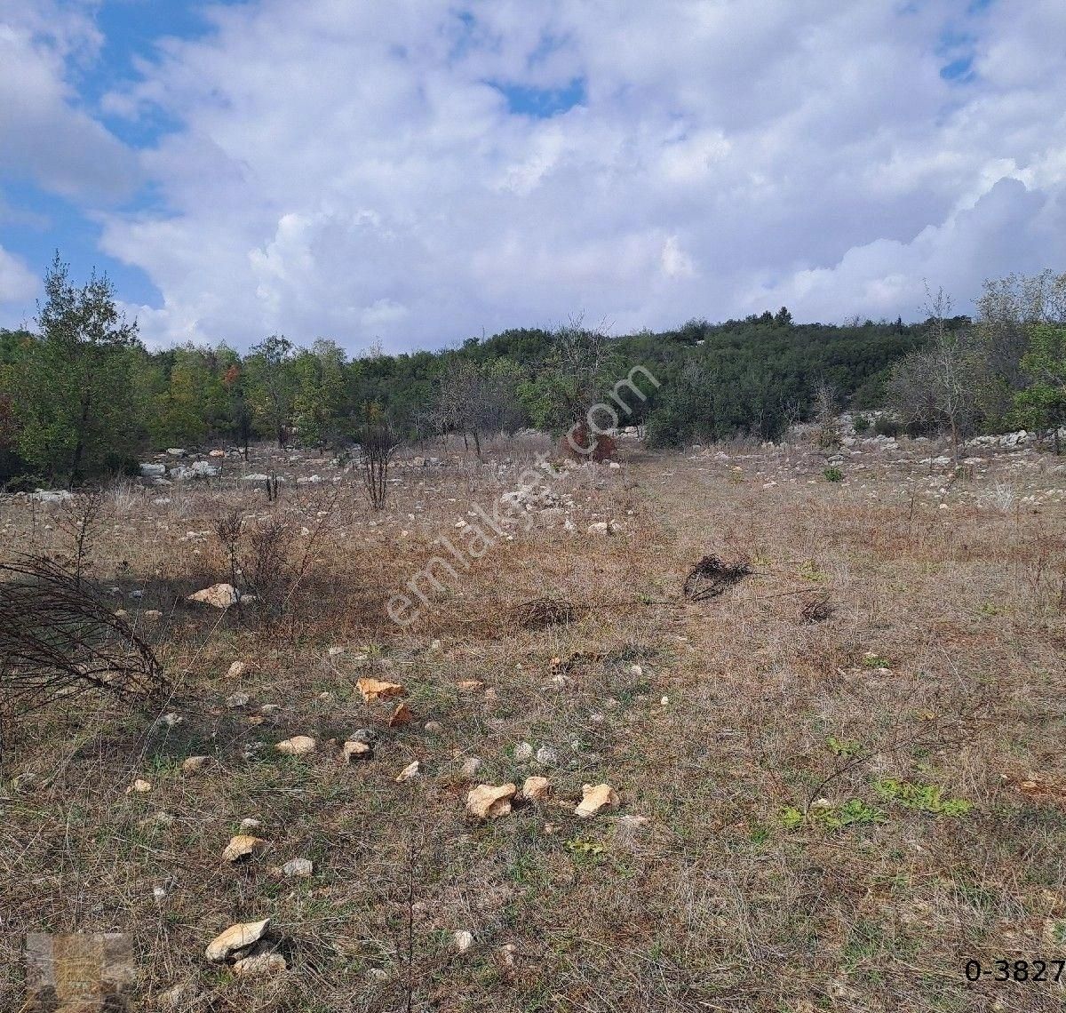 Asyadan Tarsus Beylice Mevkide Yatırımlık Tarla - Görsel 3