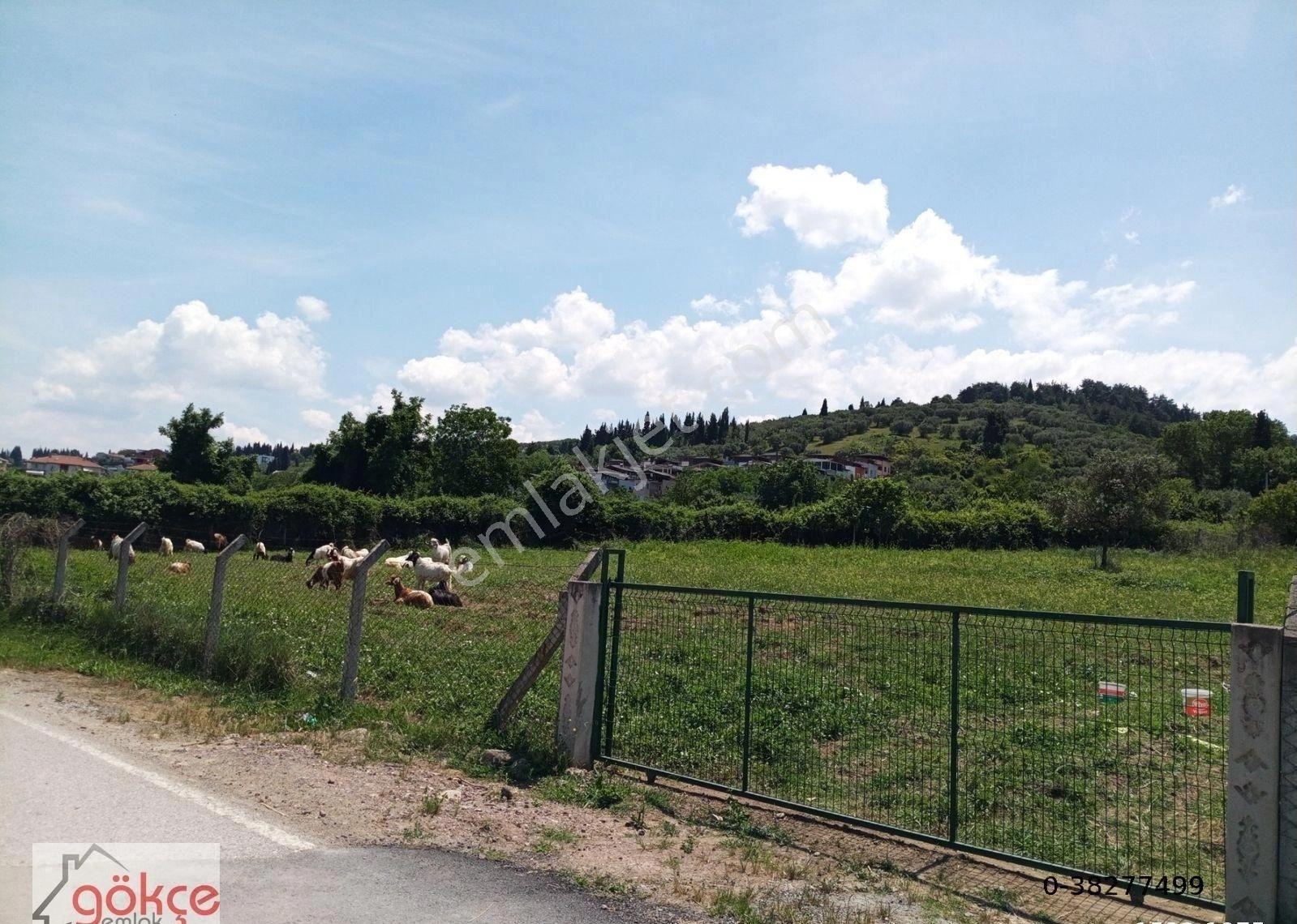 Gökçe'den Satılık Arsa - Görsel 17