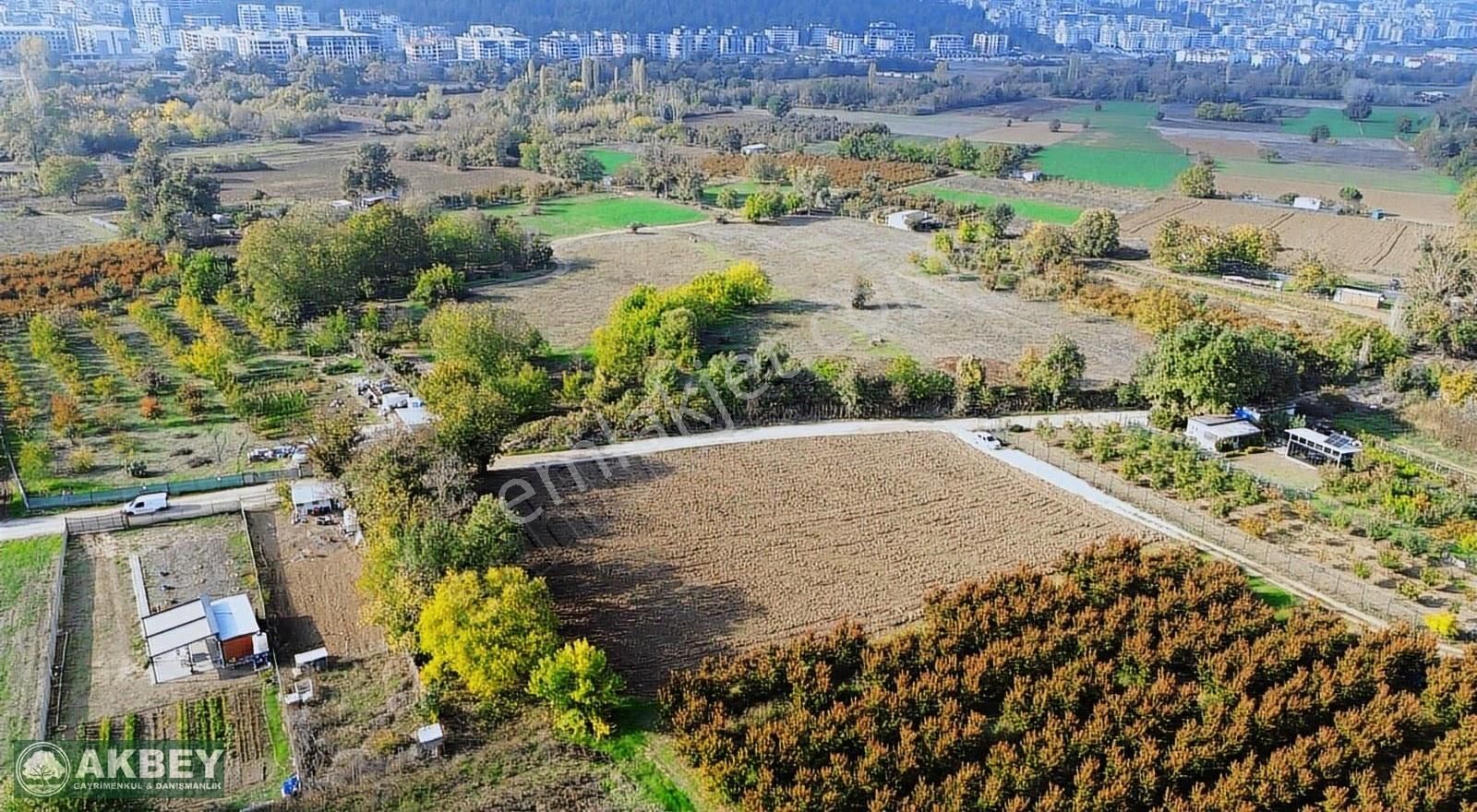 Akbey'den Yıl Sonu Fırsatı! Tek Tapu Resmi Yola Cephe Arazi - Görsel 6