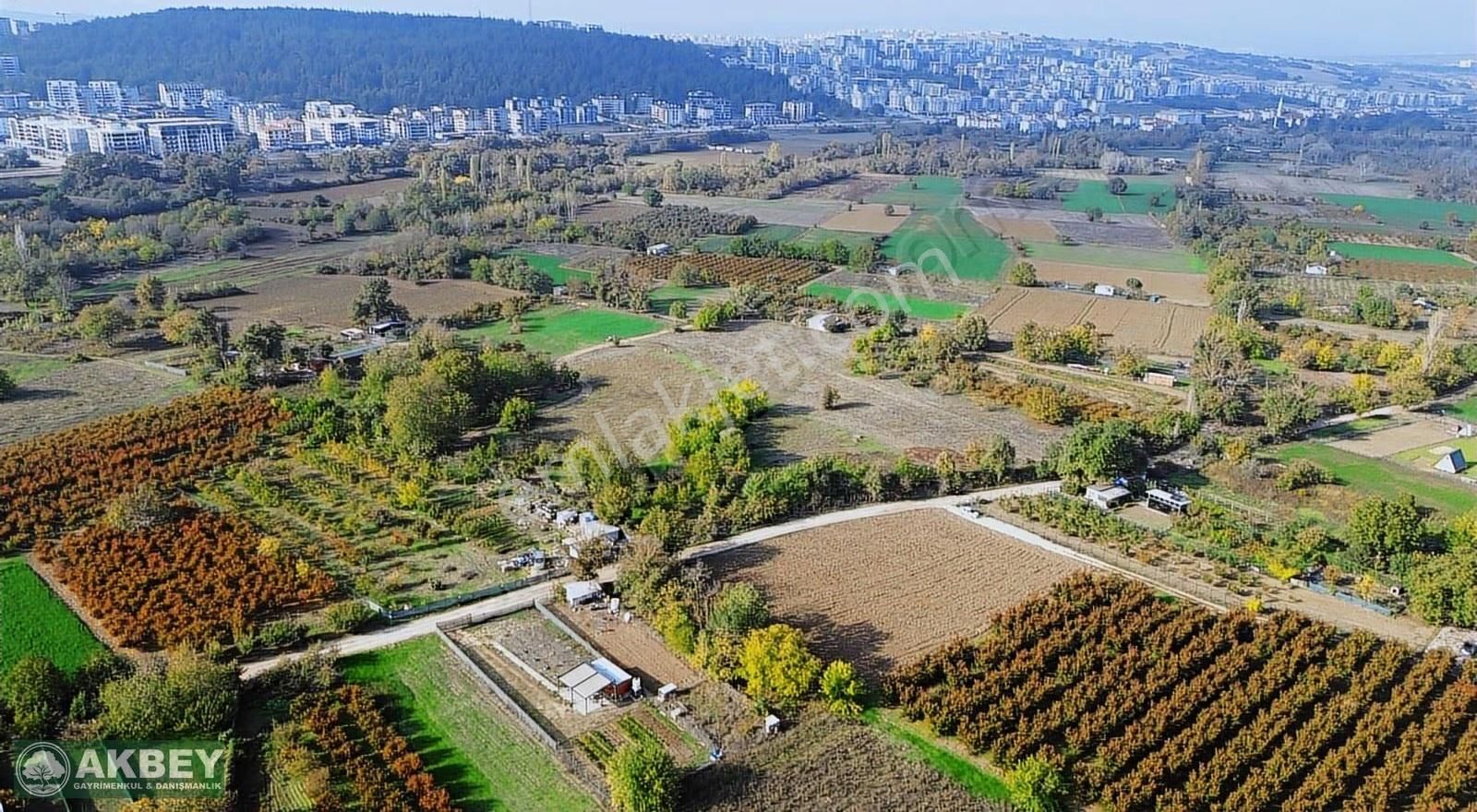Akbey'den Yıl Sonu Fırsatı! Tek Tapu Resmi Yola Cephe Arazi - Görsel 3