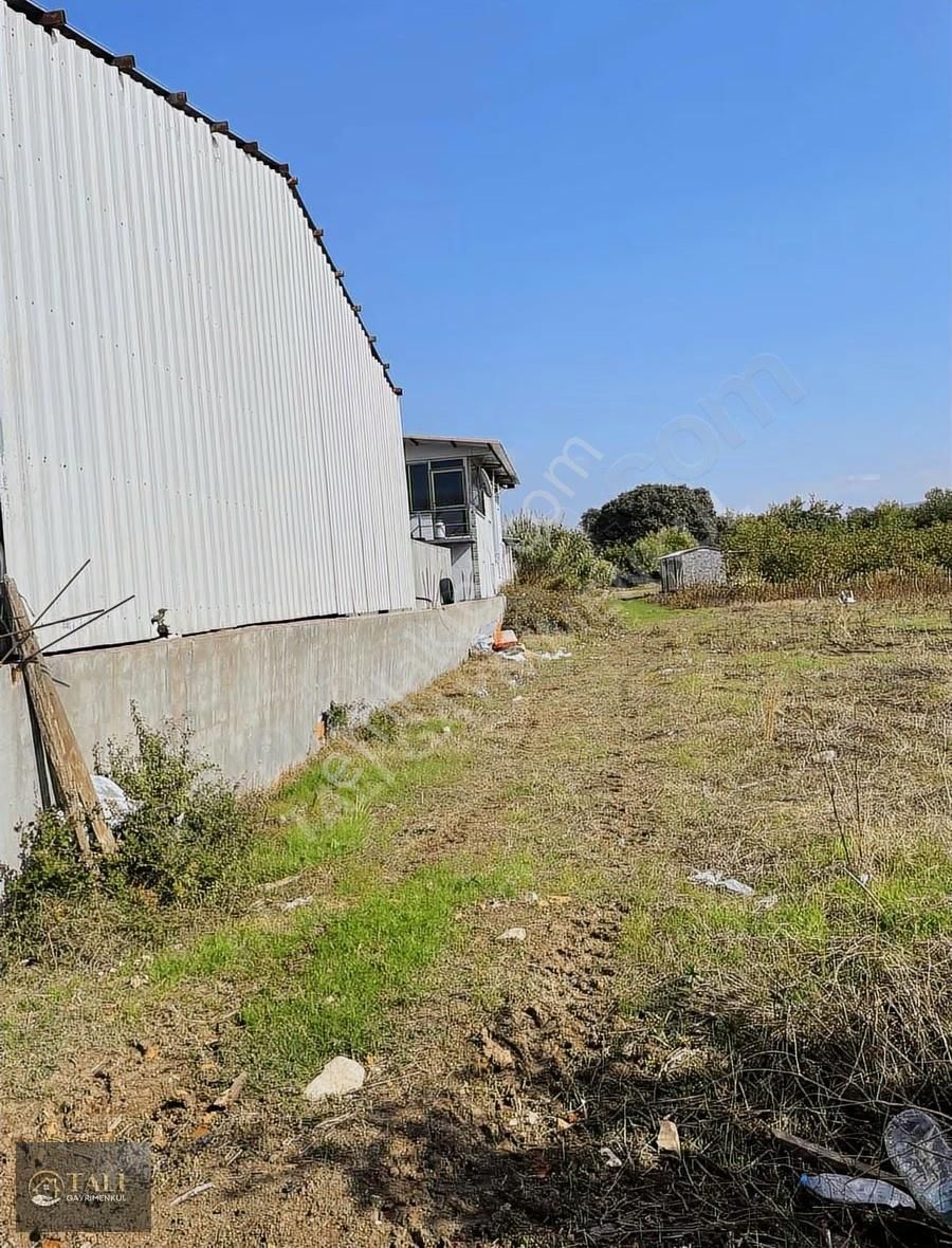 Akçalar'da Geleceği Olan Tarla