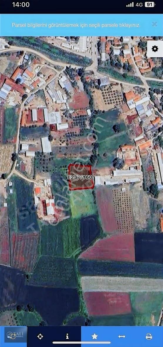 Akçalar'da Geleceği Olan Tarla - Görsel 3
