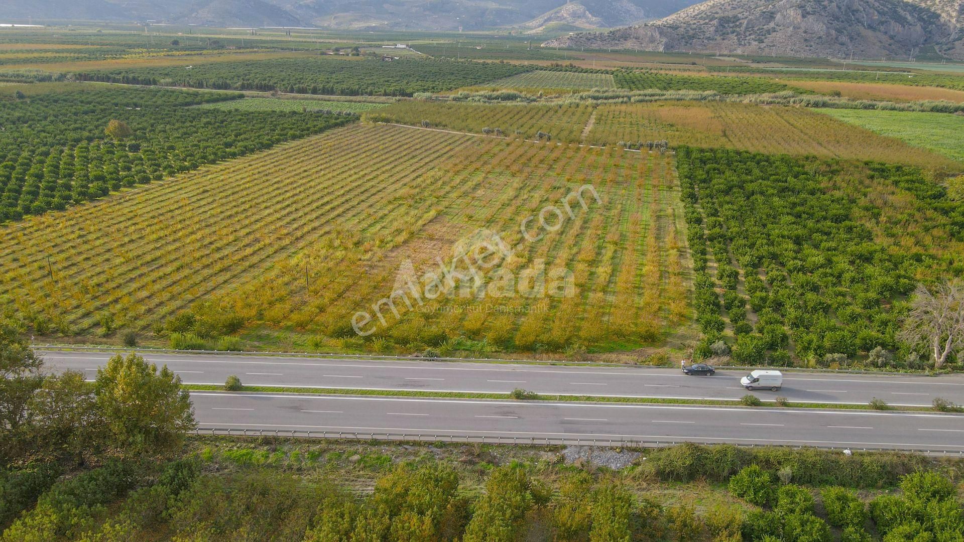 İzmir Selçuk'ta Otoyola Sıfır Satılık Meyve Bahçesi - Görsel 8