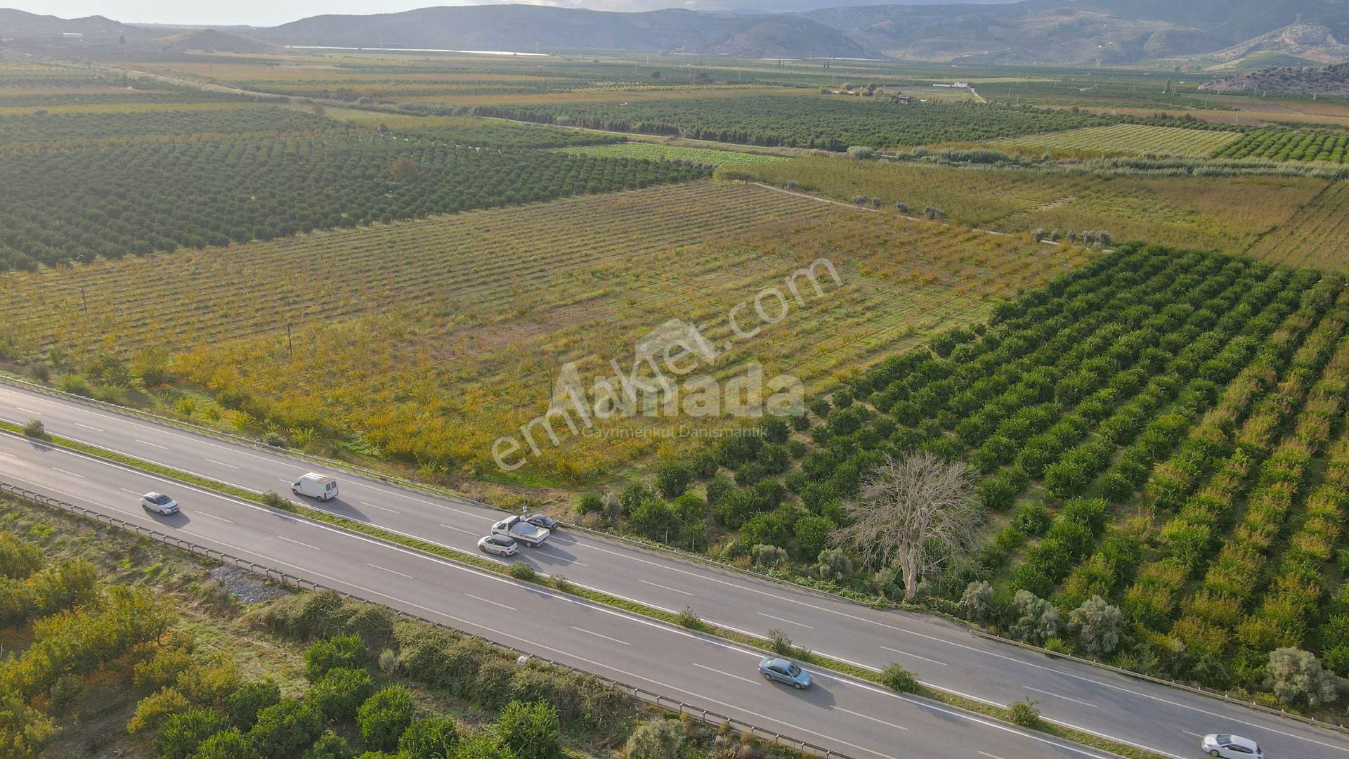İzmir Selçuk'ta Otoyola Sıfır Satılık Meyve Bahçesi - Görsel 7