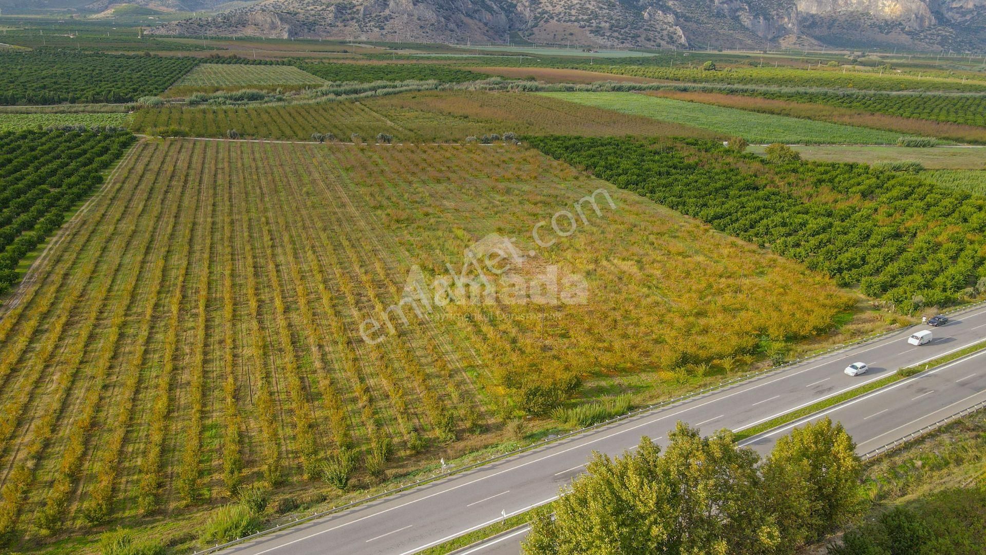 İzmir Selçuk'ta Otoyola Sıfır Satılık Meyve Bahçesi - Görsel 9