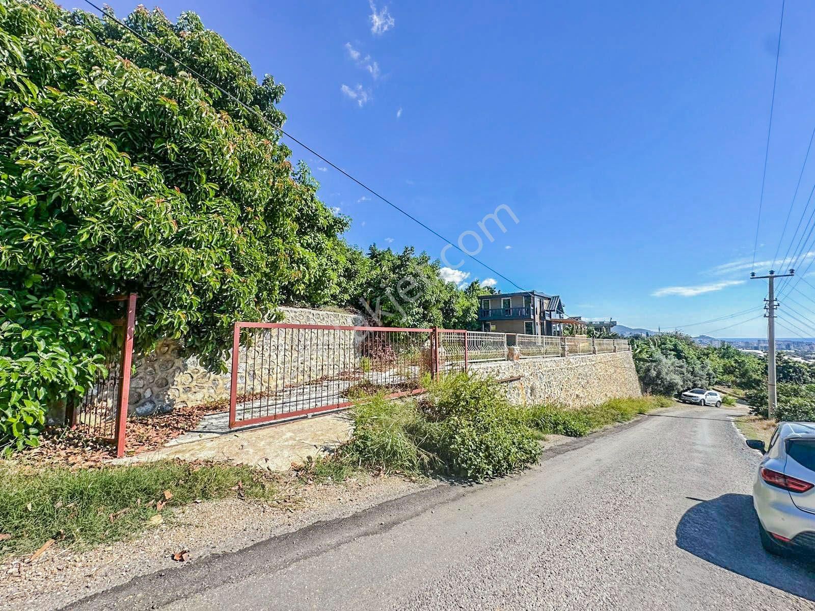 Alanya Yaylalı Mah. Full Kale Deniz Manzaralı 391m2 Tarla Ve 120 M2 Ağaç Ev - Görsel 16