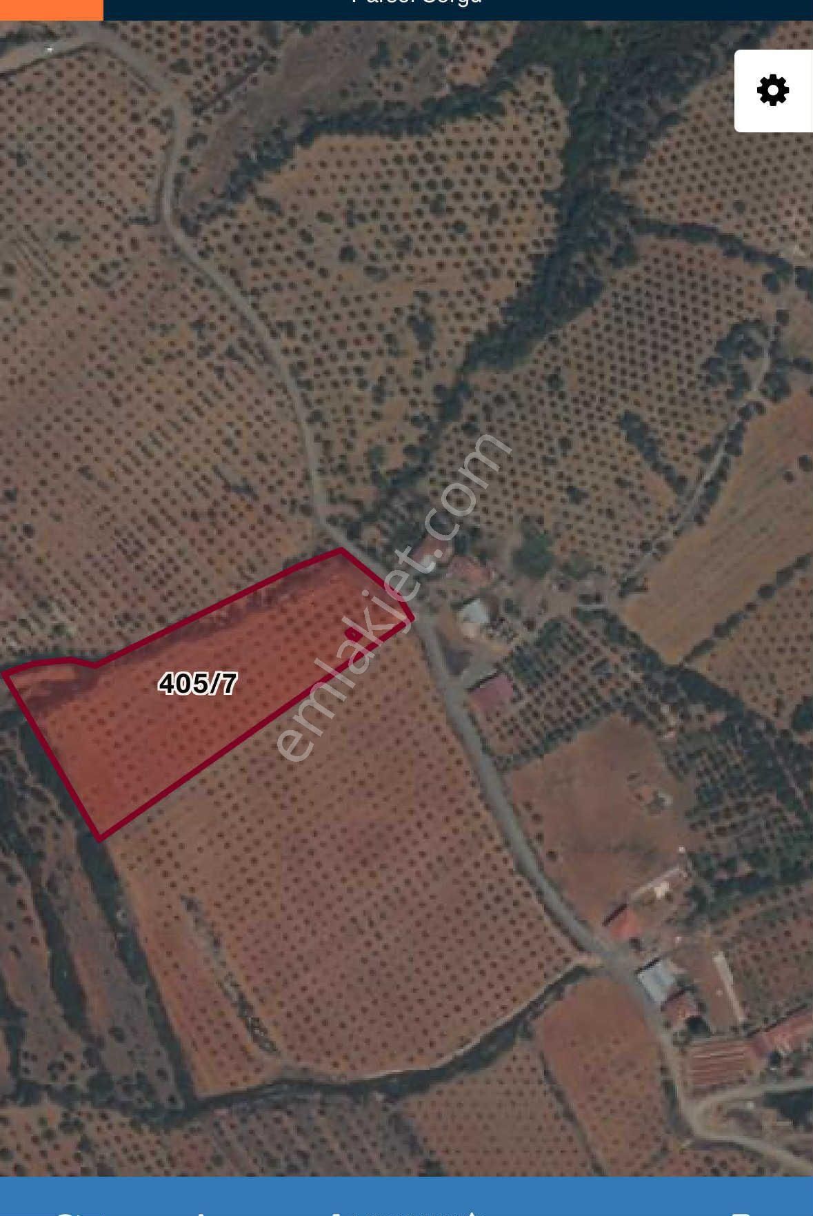 Karacasu’ Da Satılık 10.264 M2 Zeytinlik - Görsel 2