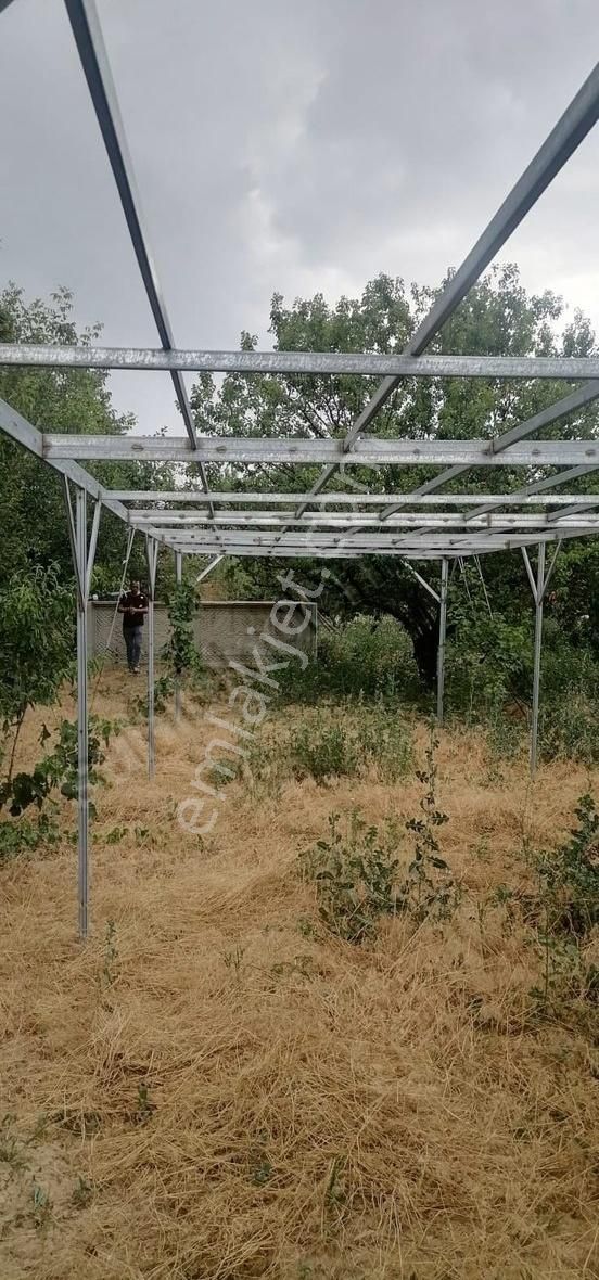 Ladikte Yetişmiş Ağaçlarıyla Süper Bahçeli Ev - Görsel 12