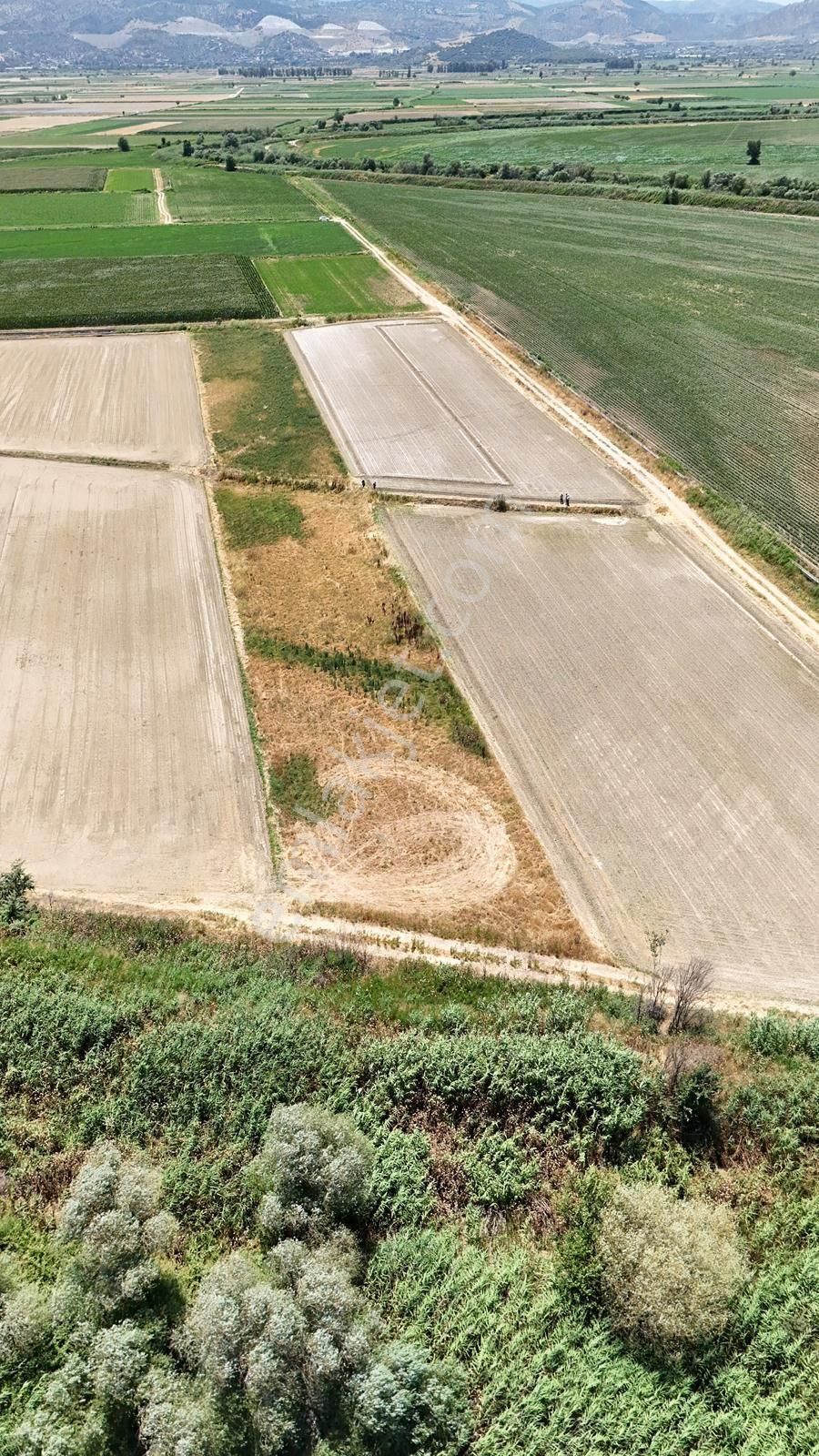 Aydın Efeler Kırklar Mh Satılık Tarla
