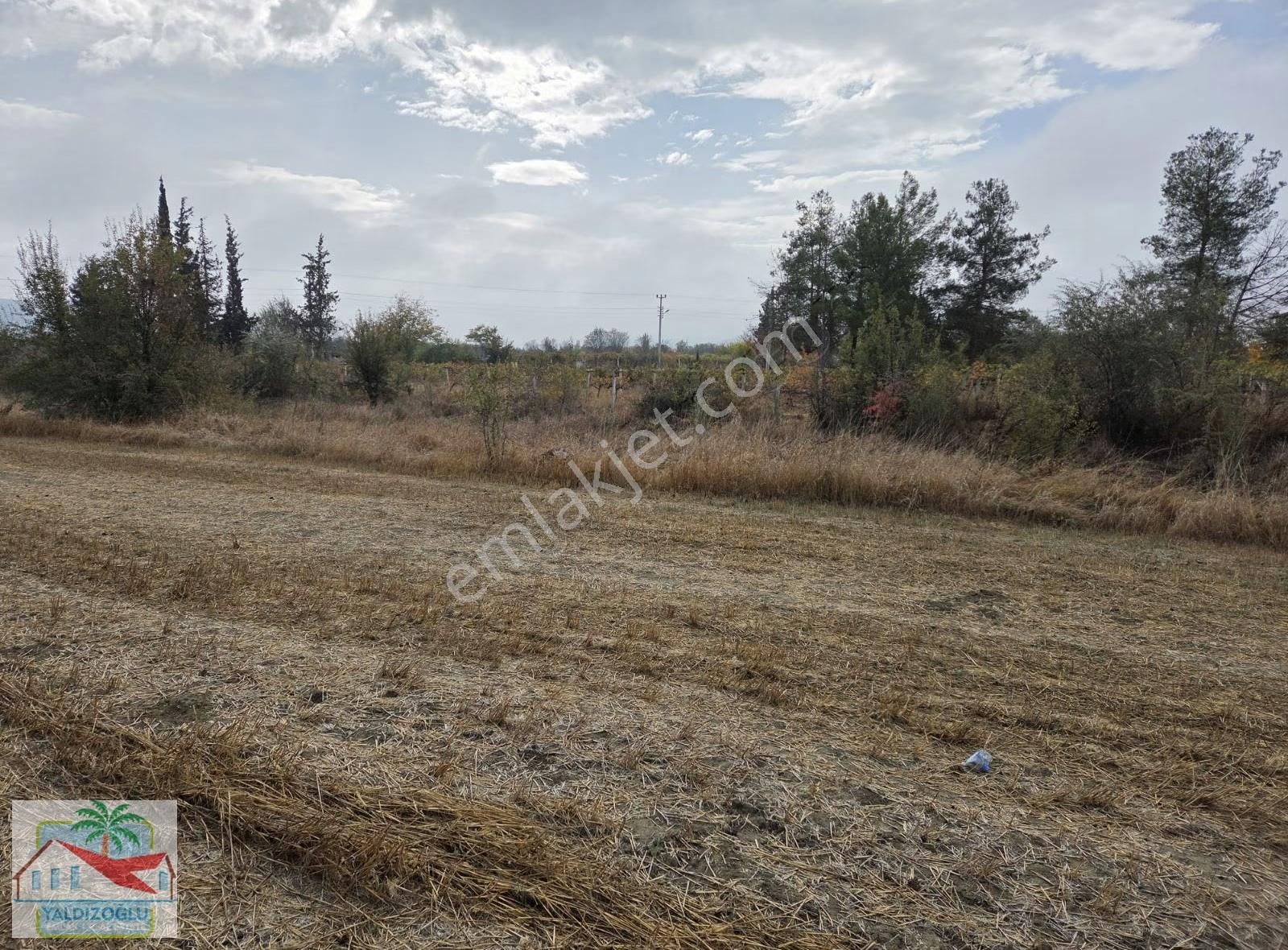 Bademağacı'nda Satılık 8723 M2 Asfalta Cephe Müstakil Tarla - Görsel 10