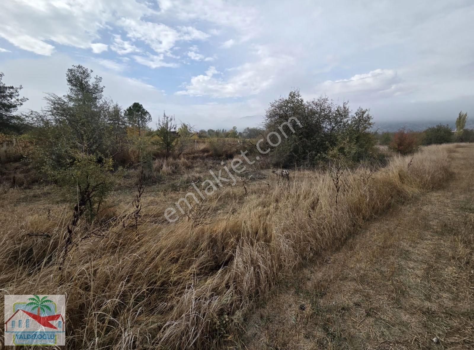 Bademağacı'nda Satılık 8723 M2 Asfalta Cephe Müstakil Tarla - Görsel 3