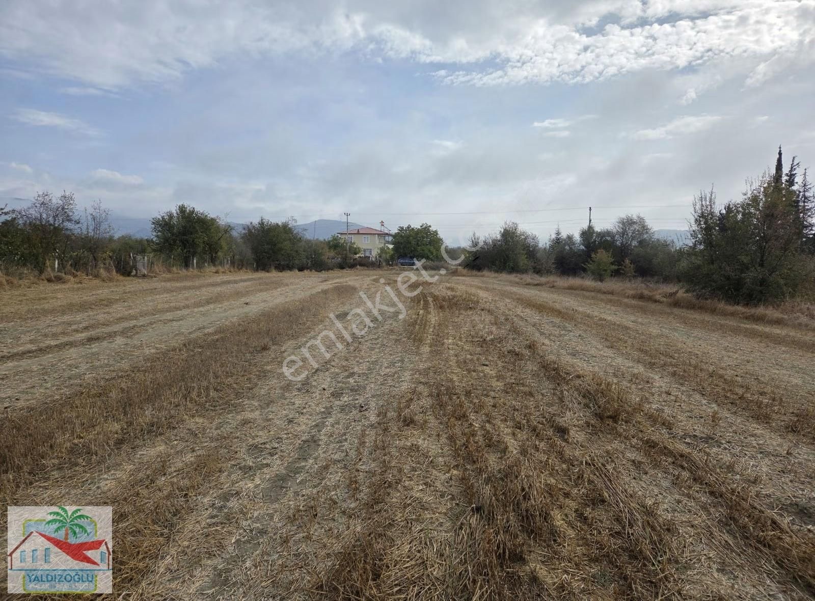 Bademağacı'nda Satılık 8723 M2 Asfalta Cephe Müstakil Tarla - Görsel 5