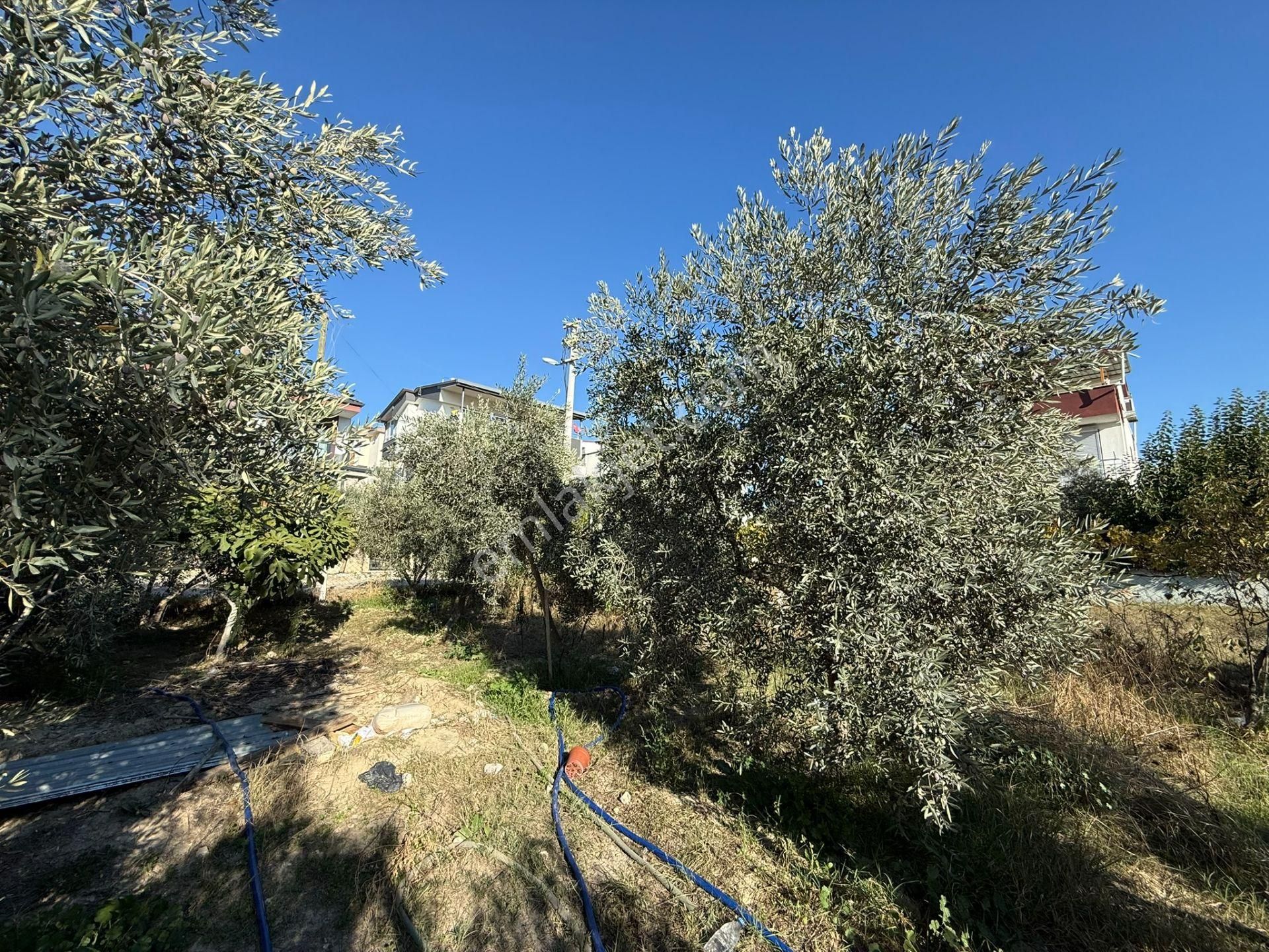 Satılık Villa İmarlı Arsa - Görsel 5