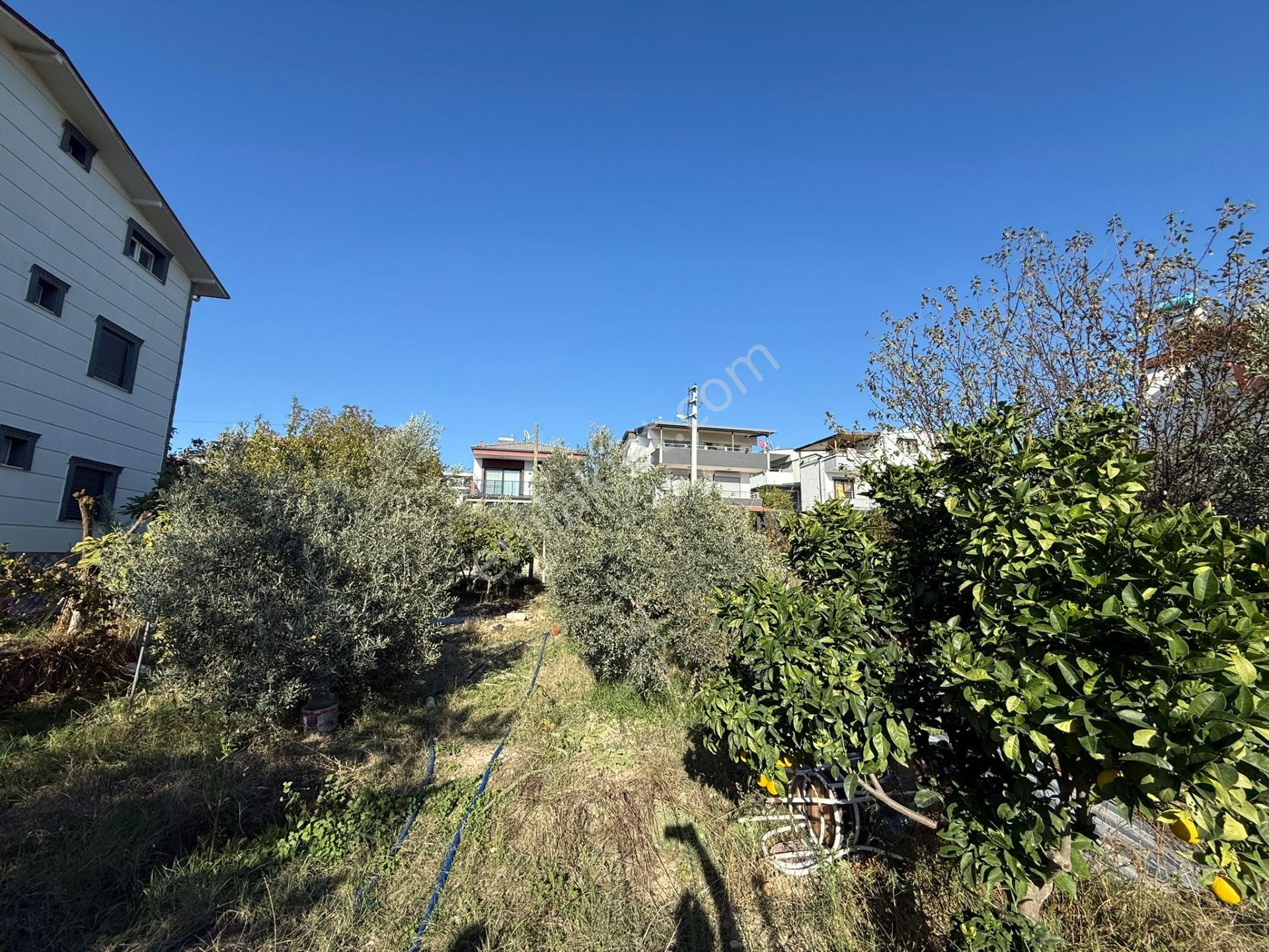 Satılık Villa İmarlı Arsa - Görsel 4