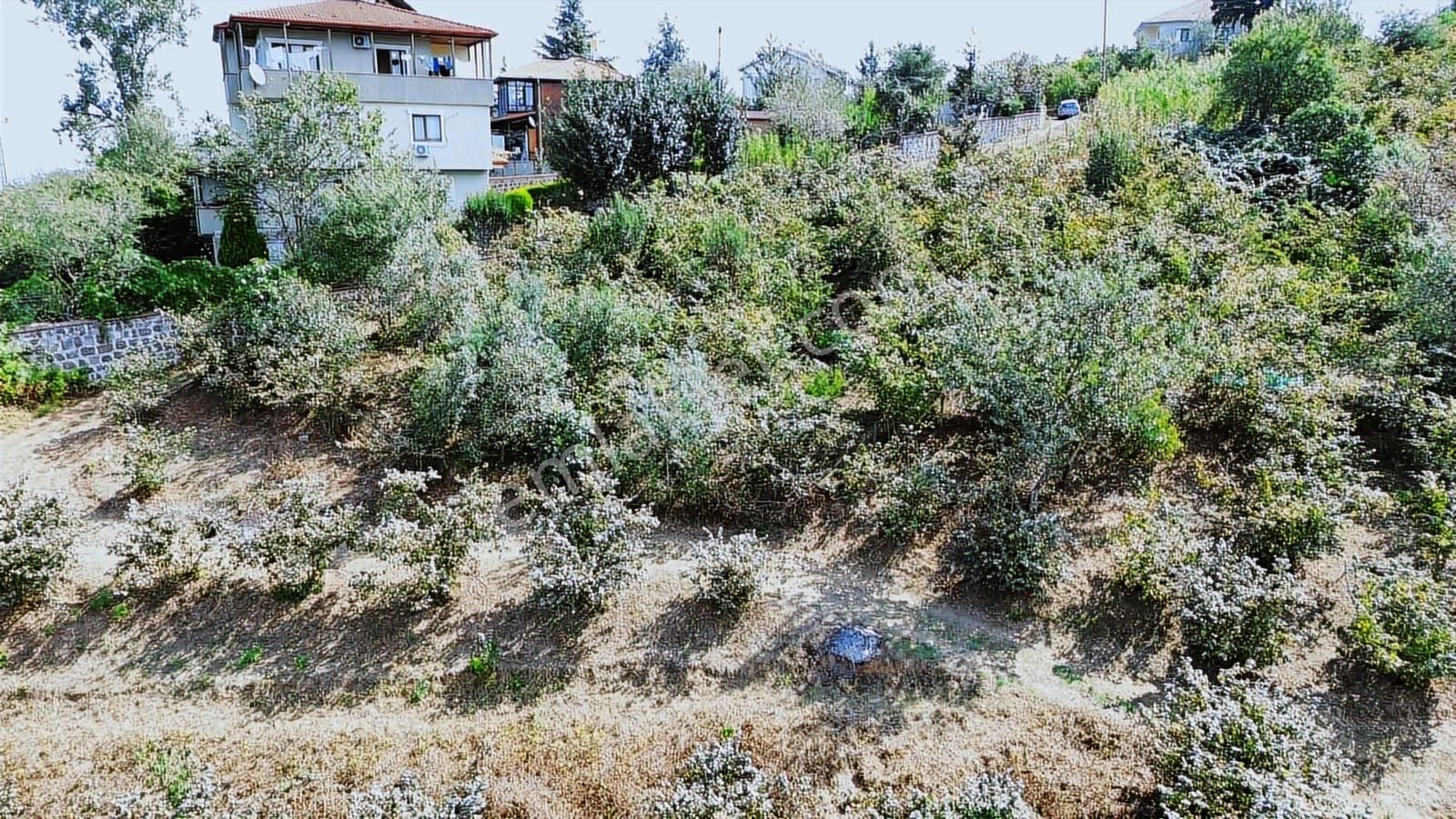 Trabzon Ortahisar Bulak Ta Villalık Satılık Arazi - Görsel 2