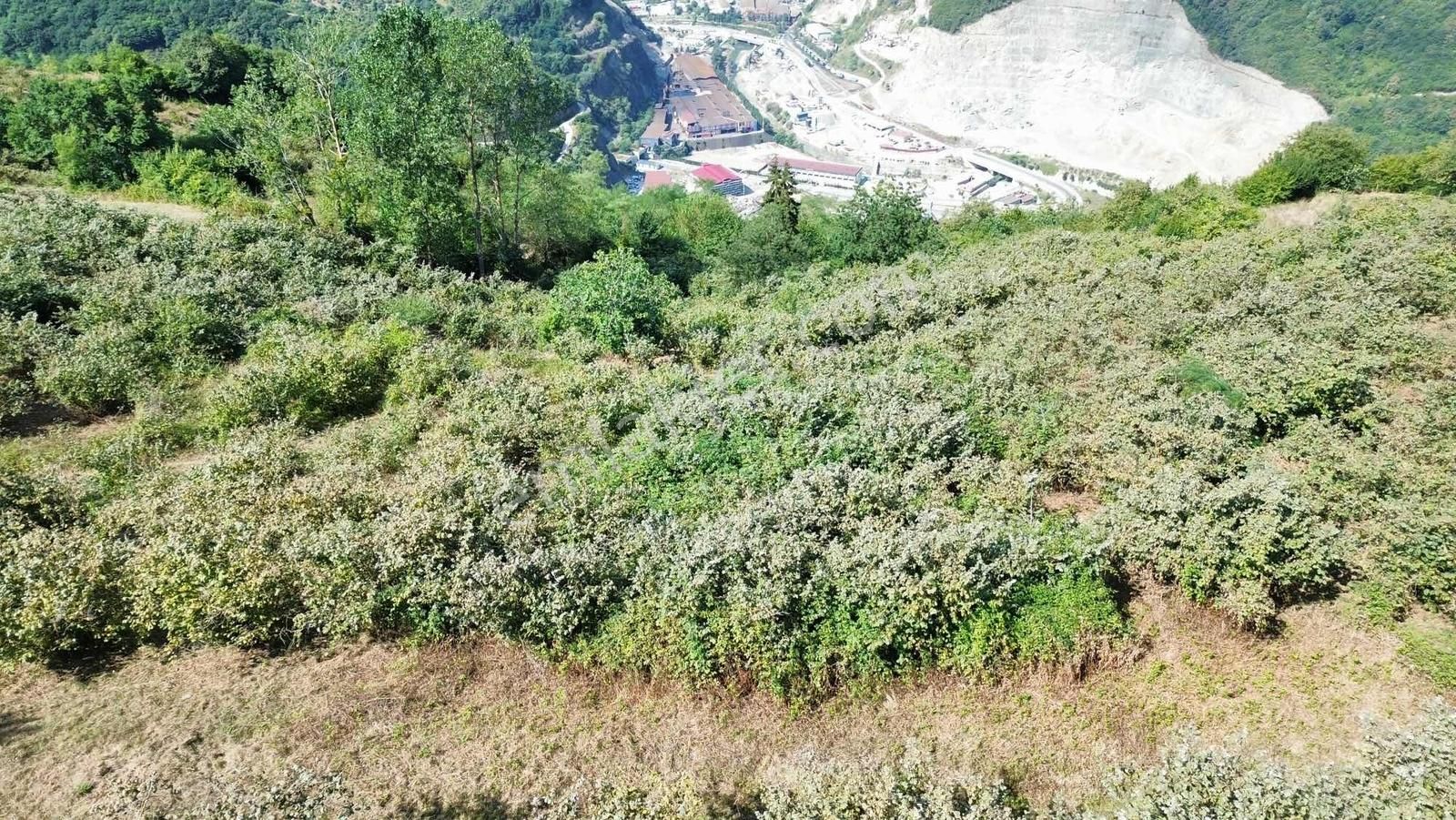Trabzon Ortahisar Bulak Ta Villalık Satılık Arazi - Görsel 33
