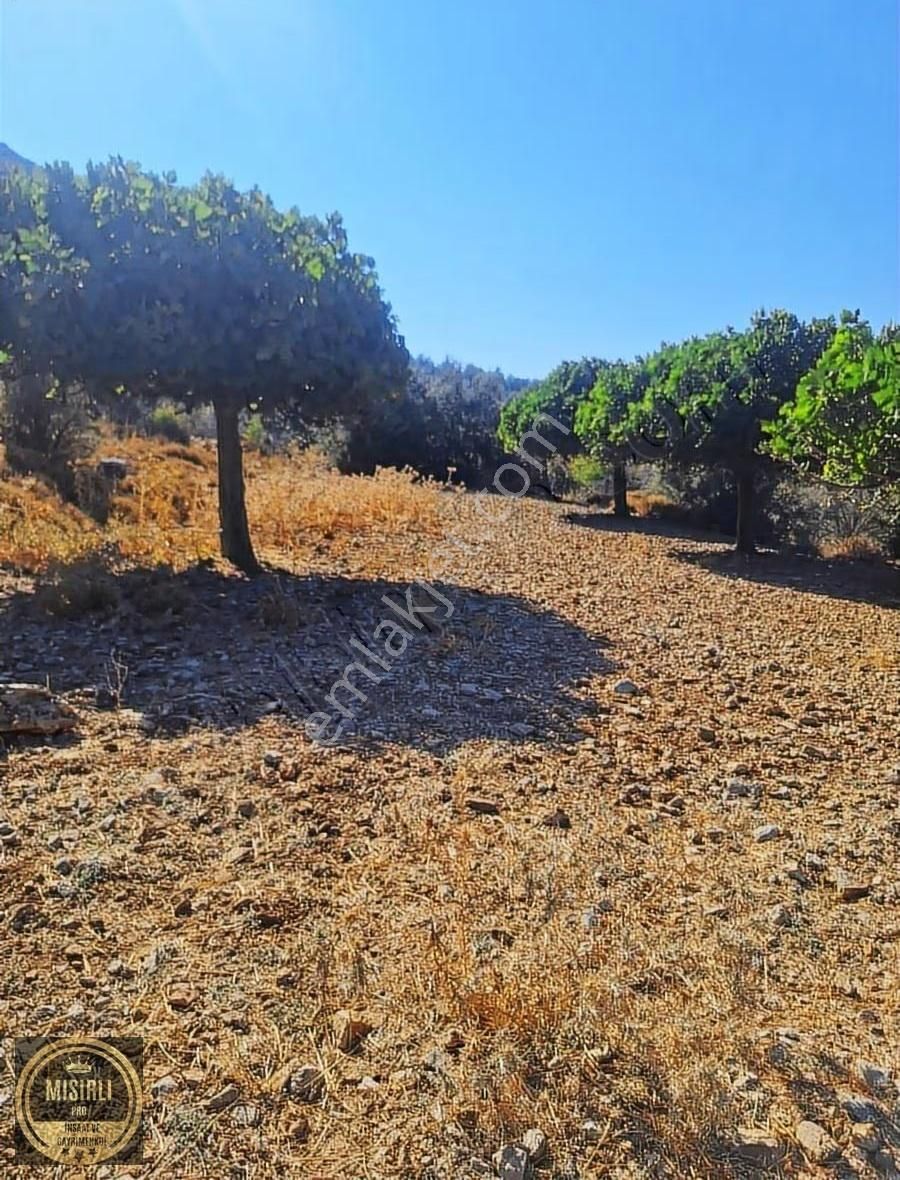 Satılık Tarla - Görsel 2