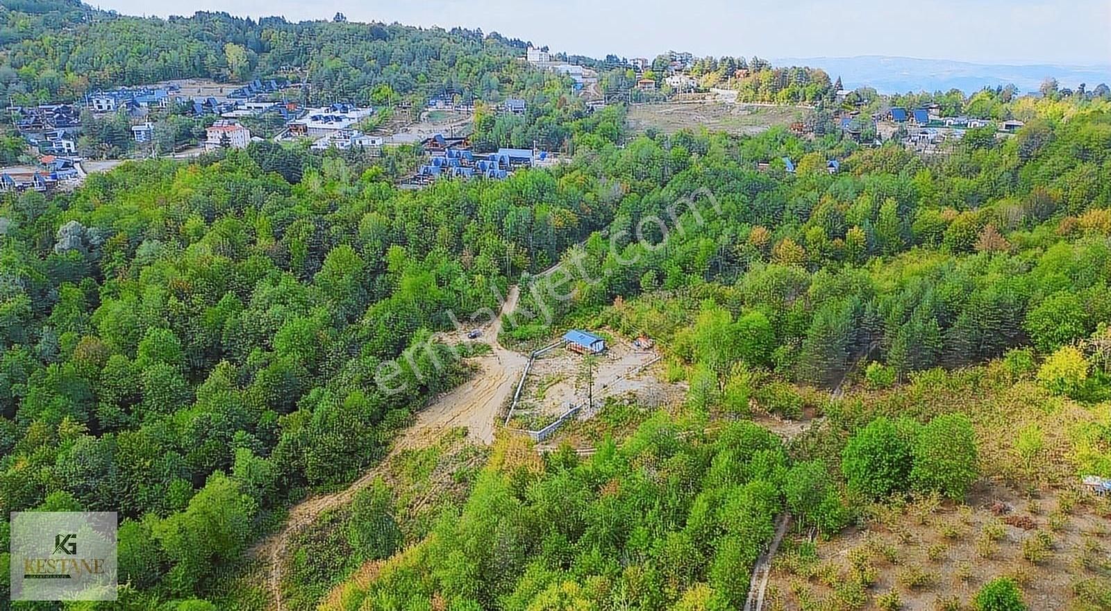 Muhteşem, Doğa Manzaralı, Resmi Yolun Yanında Satılık Parsel - Görsel 4