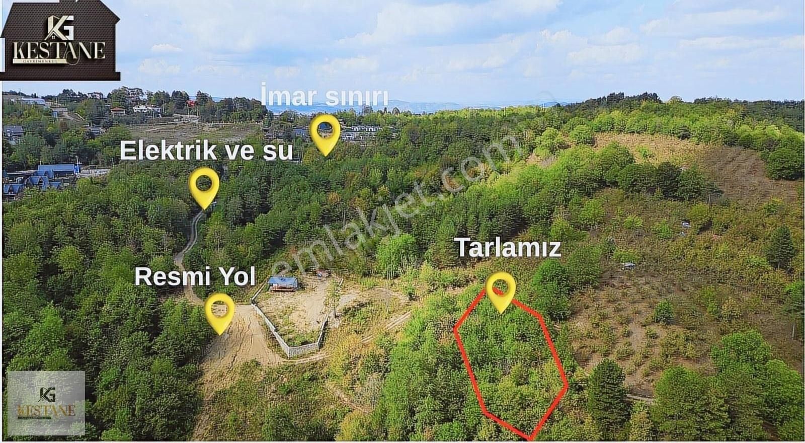 Muhteşem, Doğa Manzaralı, Resmi Yolun Yanında Satılık Parsel