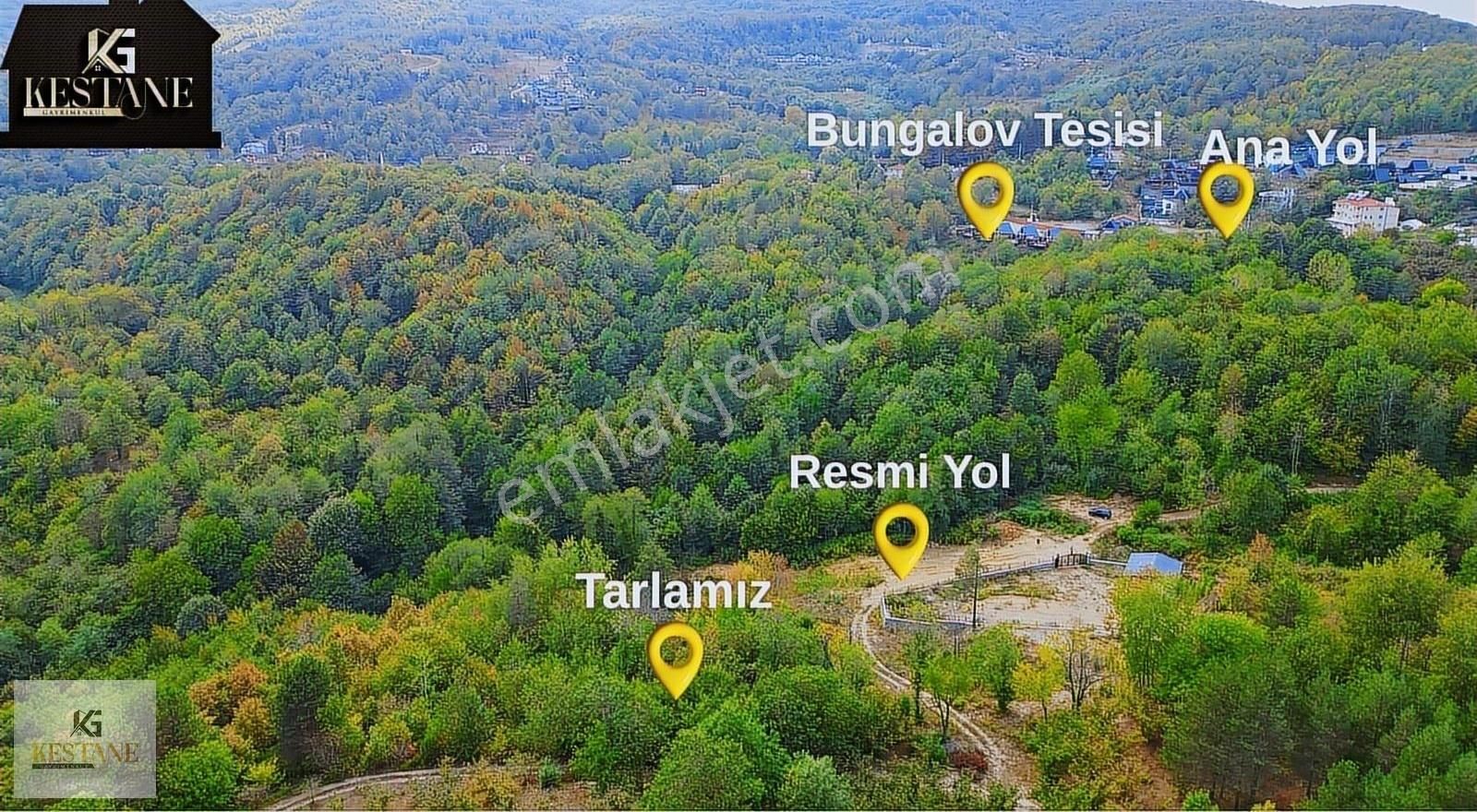 Muhteşem, Doğa Manzaralı, Resmi Yolun Yanında Satılık Parsel - Görsel 8