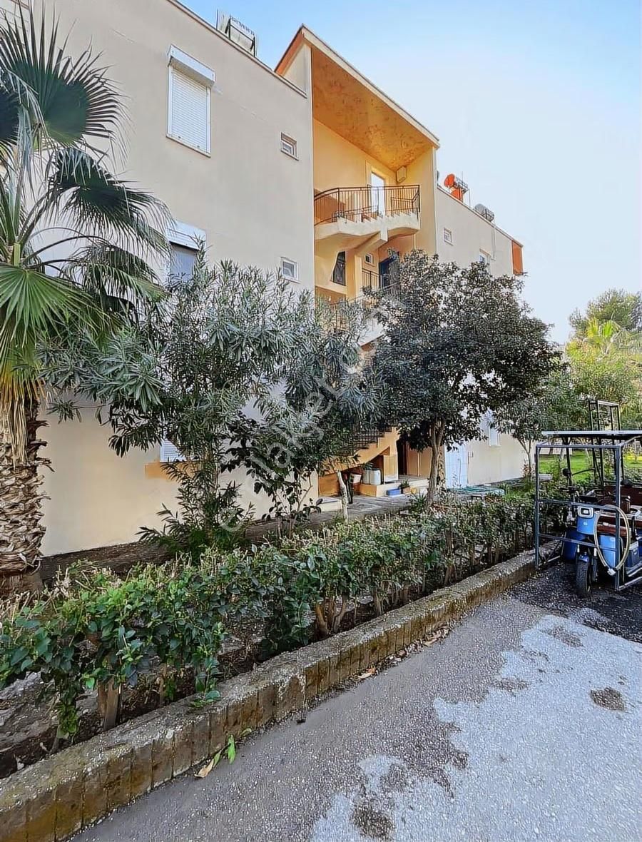 Antalya Serik Boğazkent Satılık Havuzlu Sitede 1+1 Yazlık Daire - Görsel 15