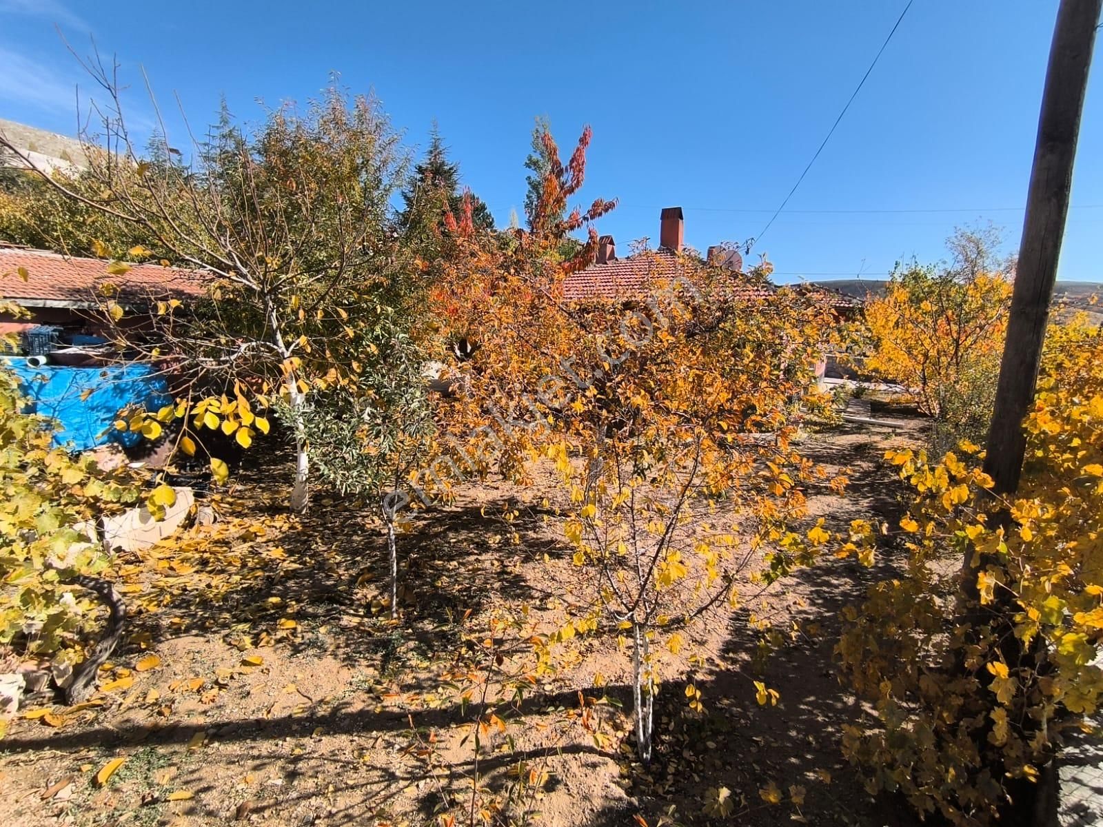 Hasanoğlan Havuzbaşı Mahallesi Bahçeli Müstakil Ev - Görsel 2