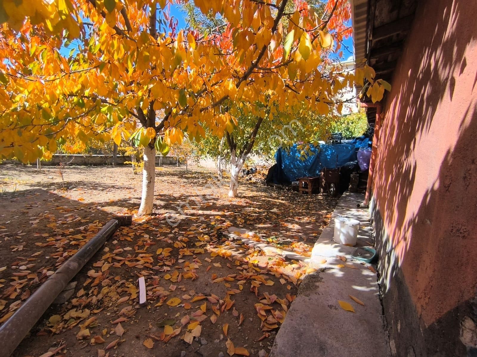 Hasanoğlan Havuzbaşı Mahallesi Bahçeli Müstakil Ev - Görsel 18