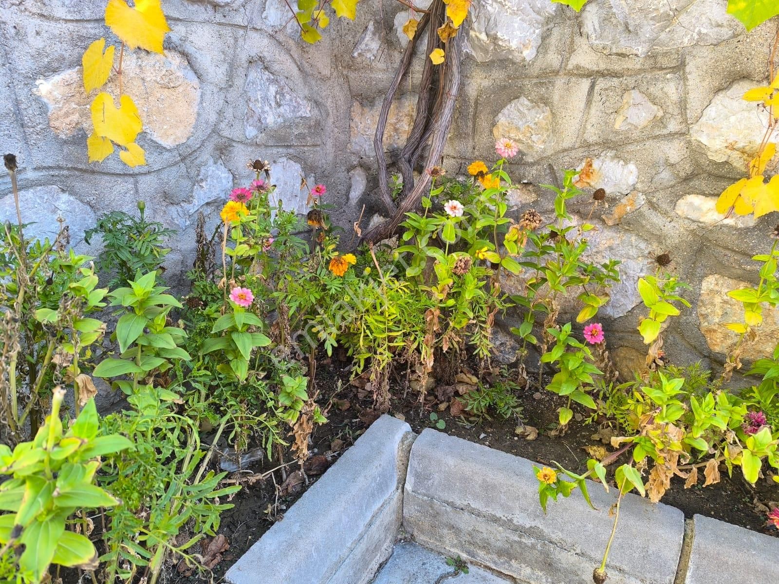 Hasanoğlan Havuzbaşı Mahallesi Bahçeli Müstakil Ev - Görsel 3