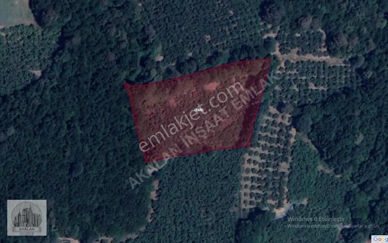 Söğütlü 3. Organize Sanayi Bölgesinin Dibinde 5.261 M2 Fındıklık - Görsel 2