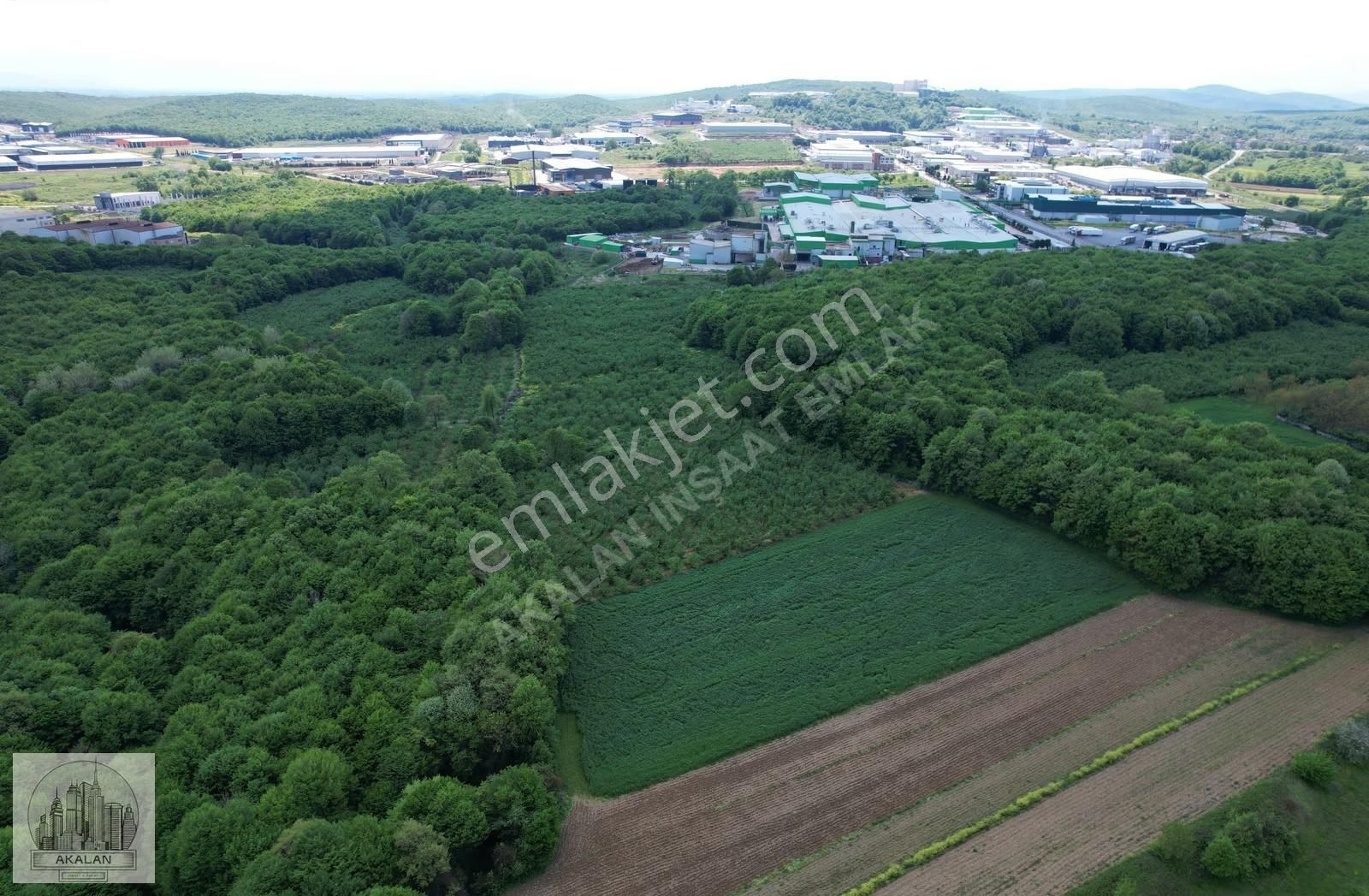 Söğütlü 3. Organize Sanayi Bölgesinin Dibinde 5.261 M2 Fındıklık - Görsel 14