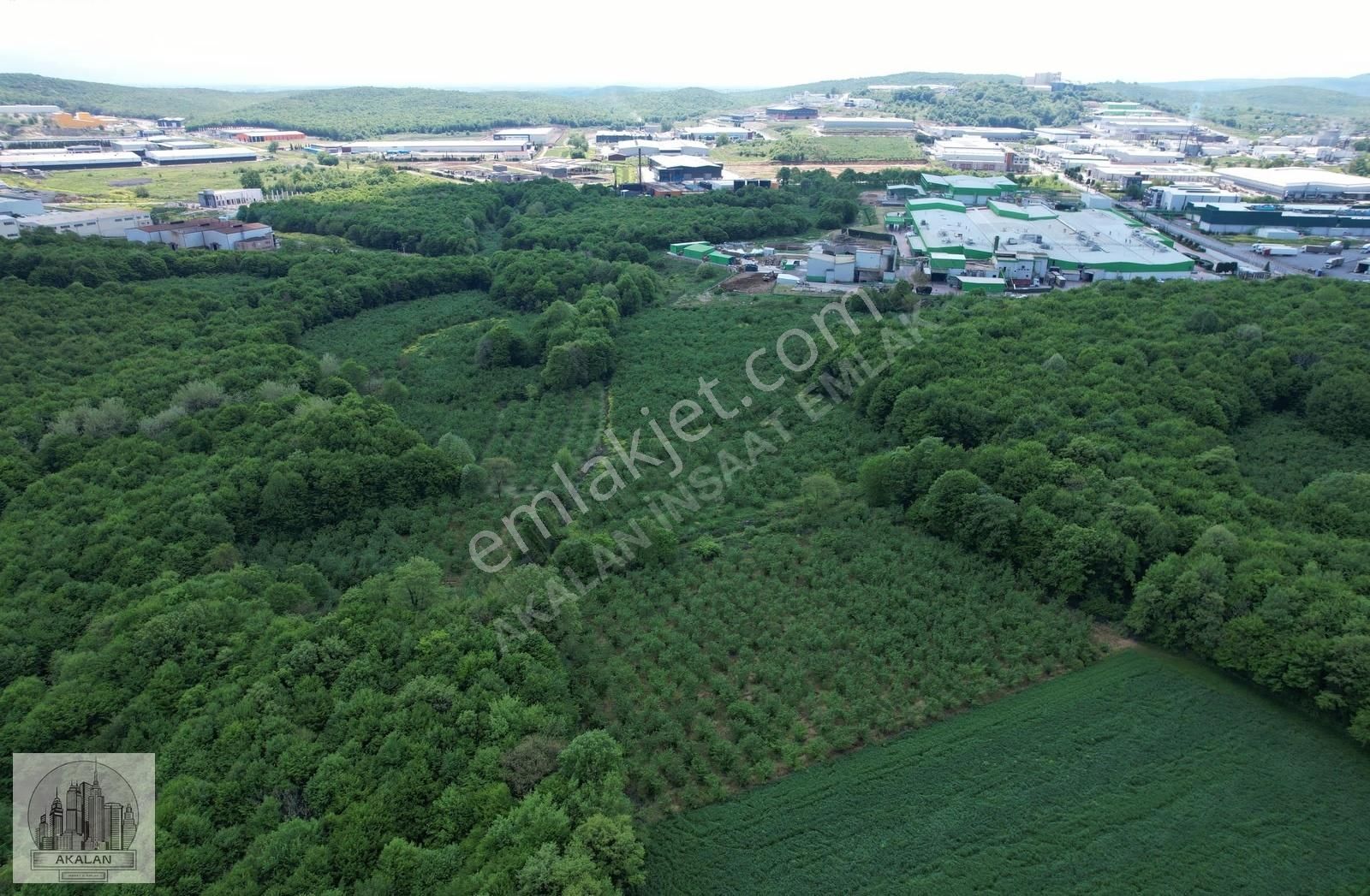 Söğütlü 3. Organize Sanayi Bölgesinin Dibinde 5.261 M2 Fındıklık - Görsel 17