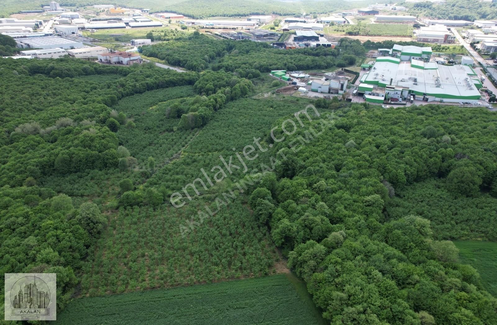 Söğütlü 3. Organize Sanayi Bölgesinin Dibinde 5.261 M2 Fındıklık - Görsel 11