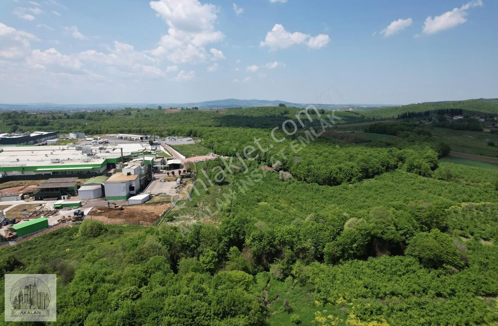 Söğütlü 3. Organize Sanayi Bölgesinin Dibinde 5.261 M2 Fındıklık - Görsel 7