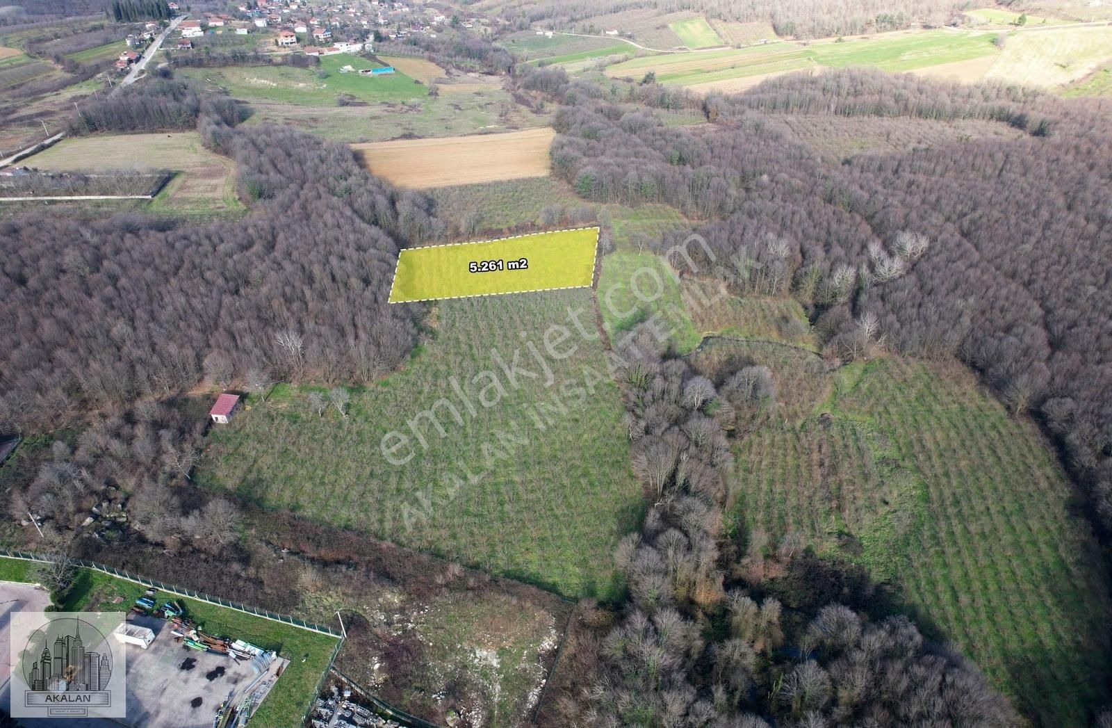 Söğütlü 3. Organize Sanayi Bölgesinin Dibinde 5.261 M2 Fındıklık - Görsel 13