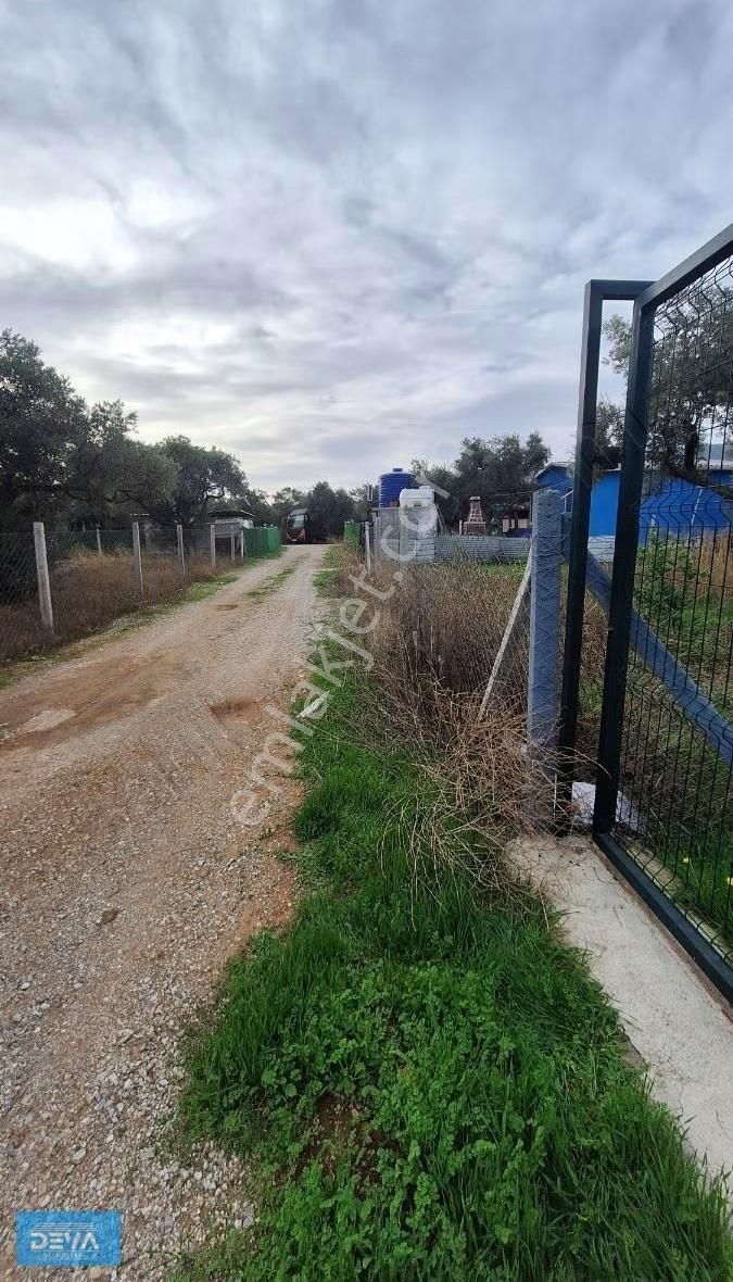 Torbalı Dağkızılca Köyünde Satlık 351m2 Baçe İçinde 60m2 Çatı Ev - Görsel 3