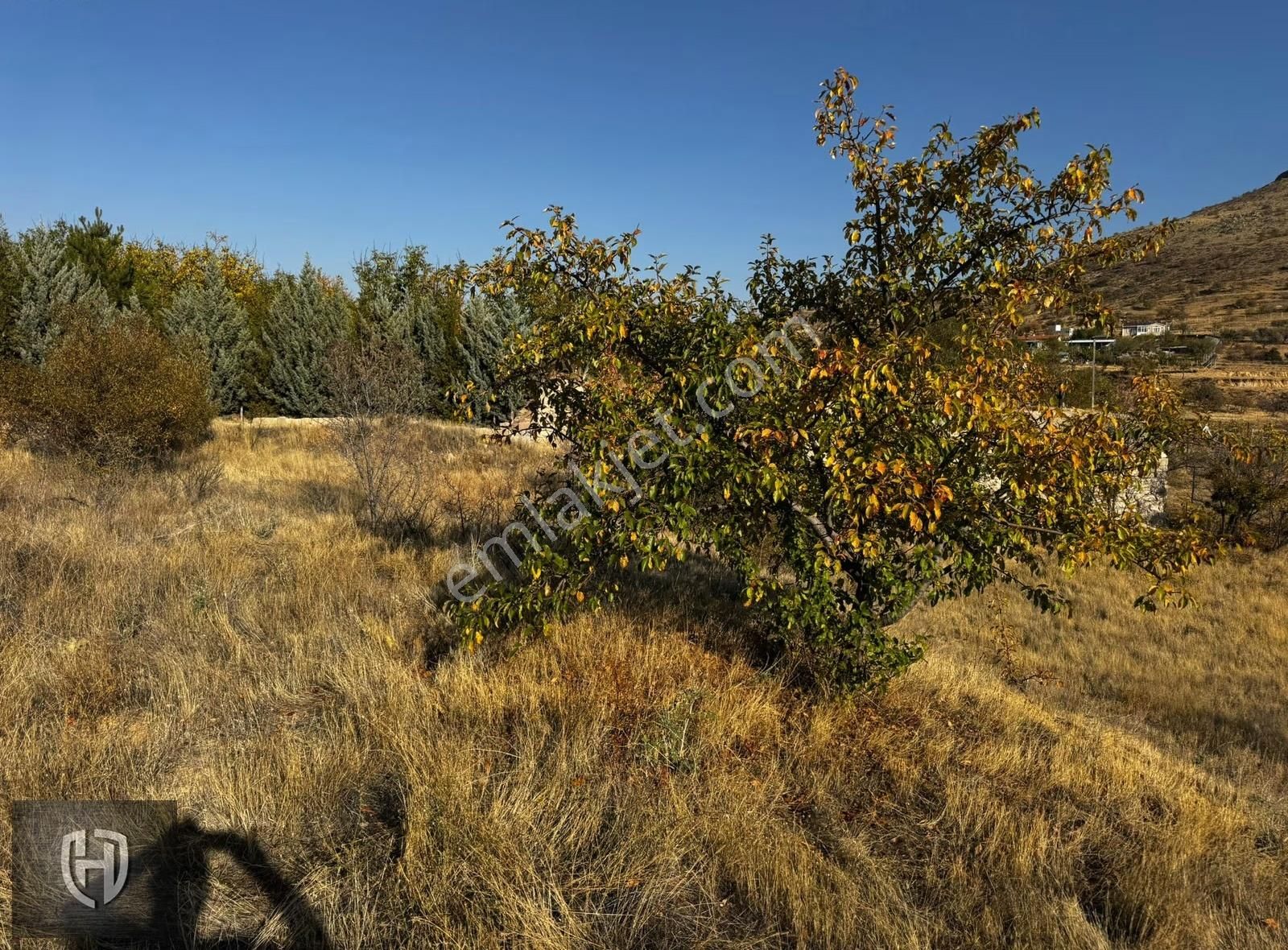 Sulutas Mahallesinde Kuruluma Hazır - Görsel 3