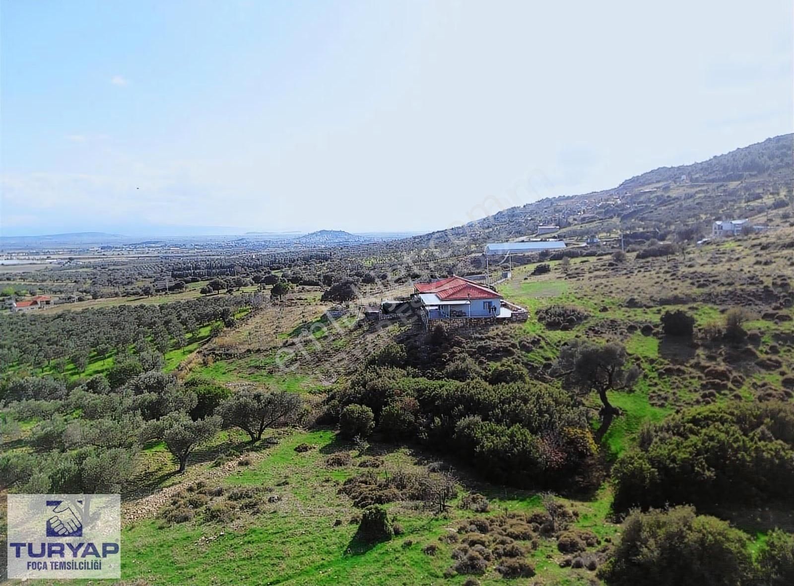 Turyap Foça'dan Yeşilin En Güzel Tonunda Tek Tapu Satılık Arsa - Görsel 6