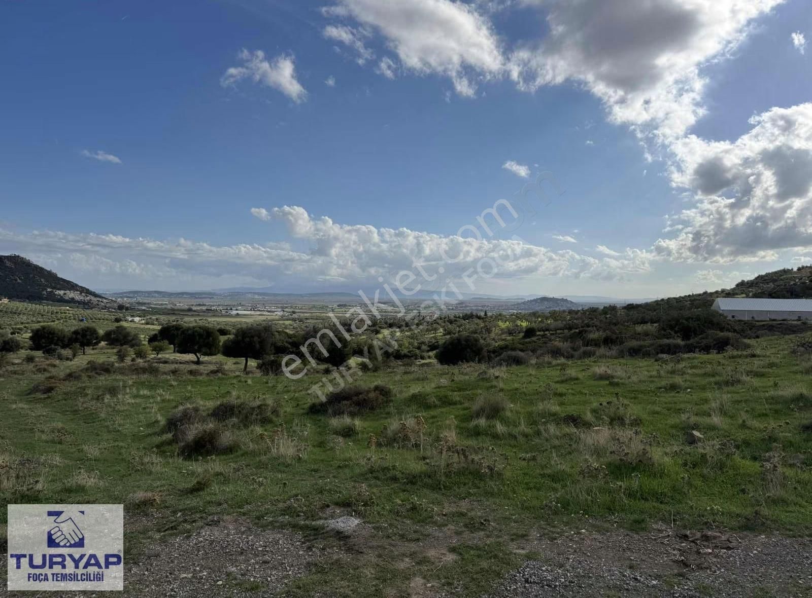 Turyap Foça'dan Yeşilin En Güzel Tonunda Tek Tapu Satılık Arsa - Görsel 14