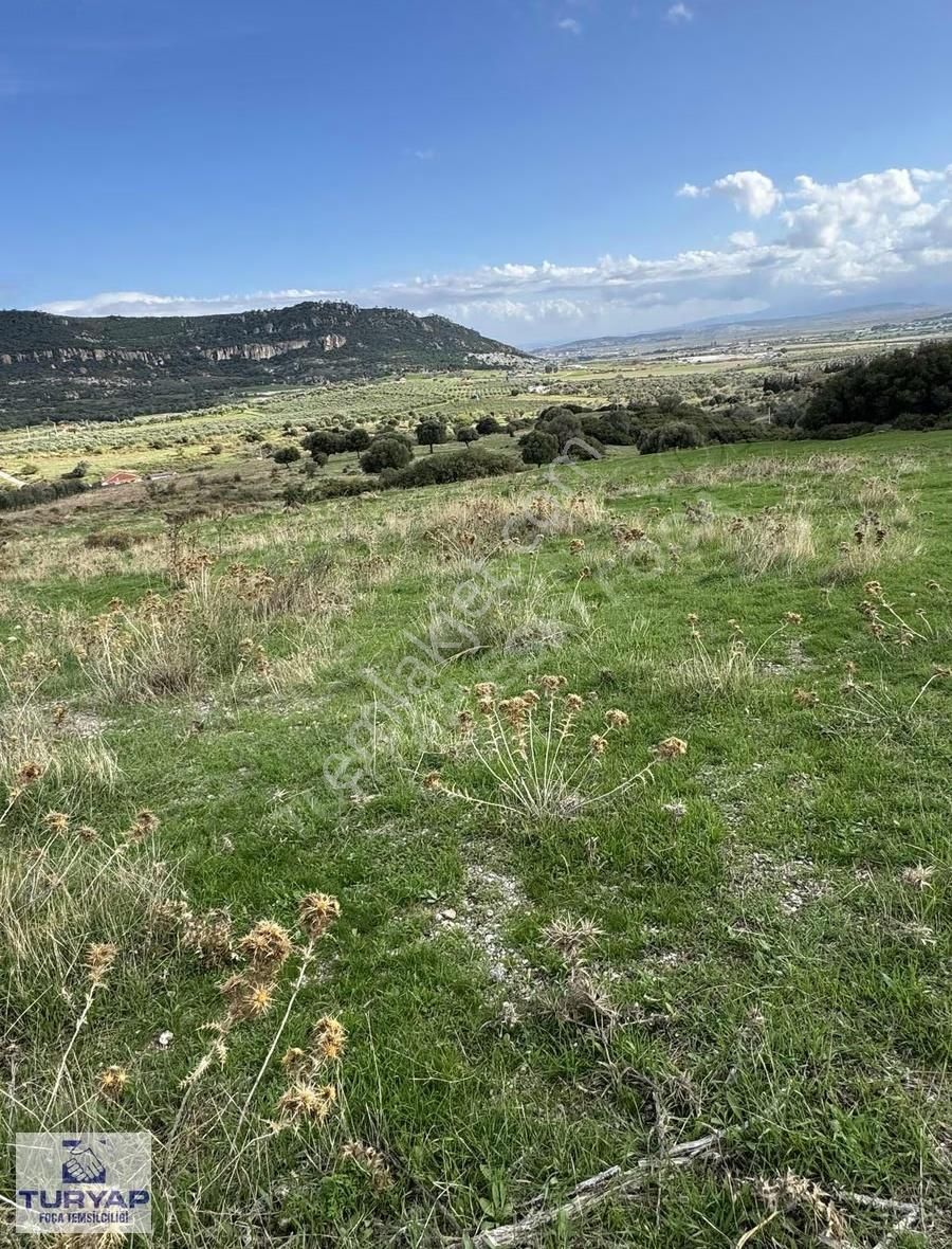 Turyap Foça'dan Yeşilin En Güzel Tonunda Tek Tapu Satılık Arsa - Görsel 24