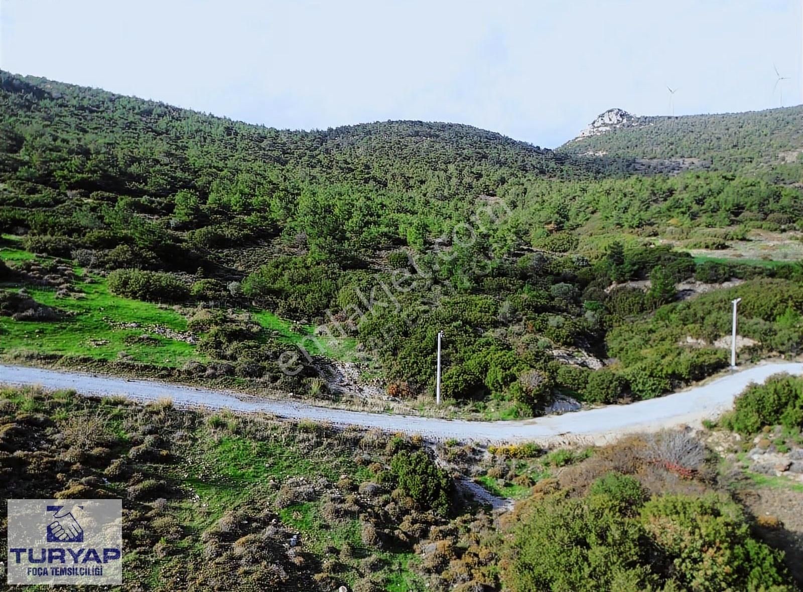 Turyap Foça'dan Yeşilin En Güzel Tonunda Tek Tapu Satılık Arsa - Görsel 25