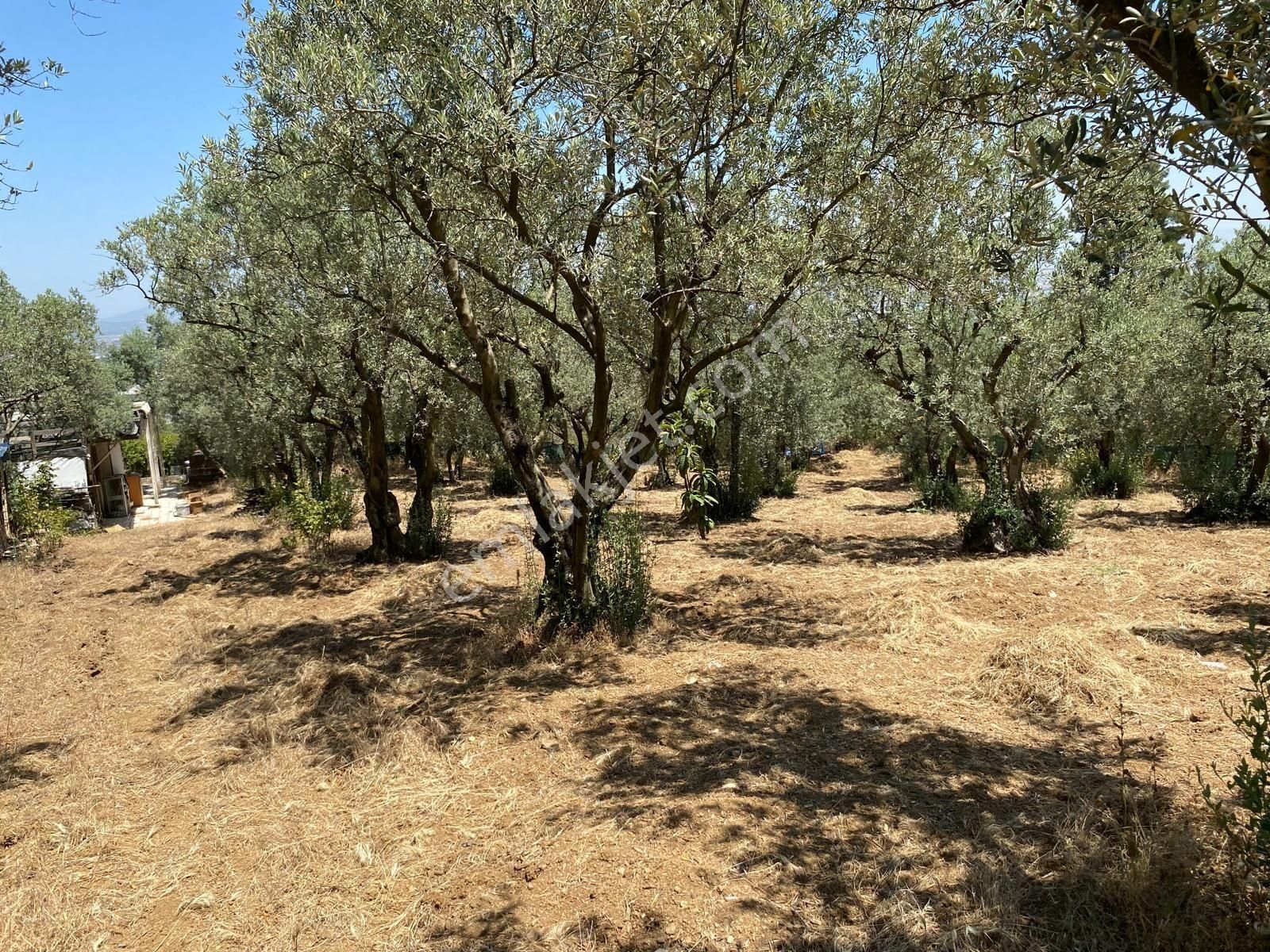 Villa İmarli Arsa - Görsel 5