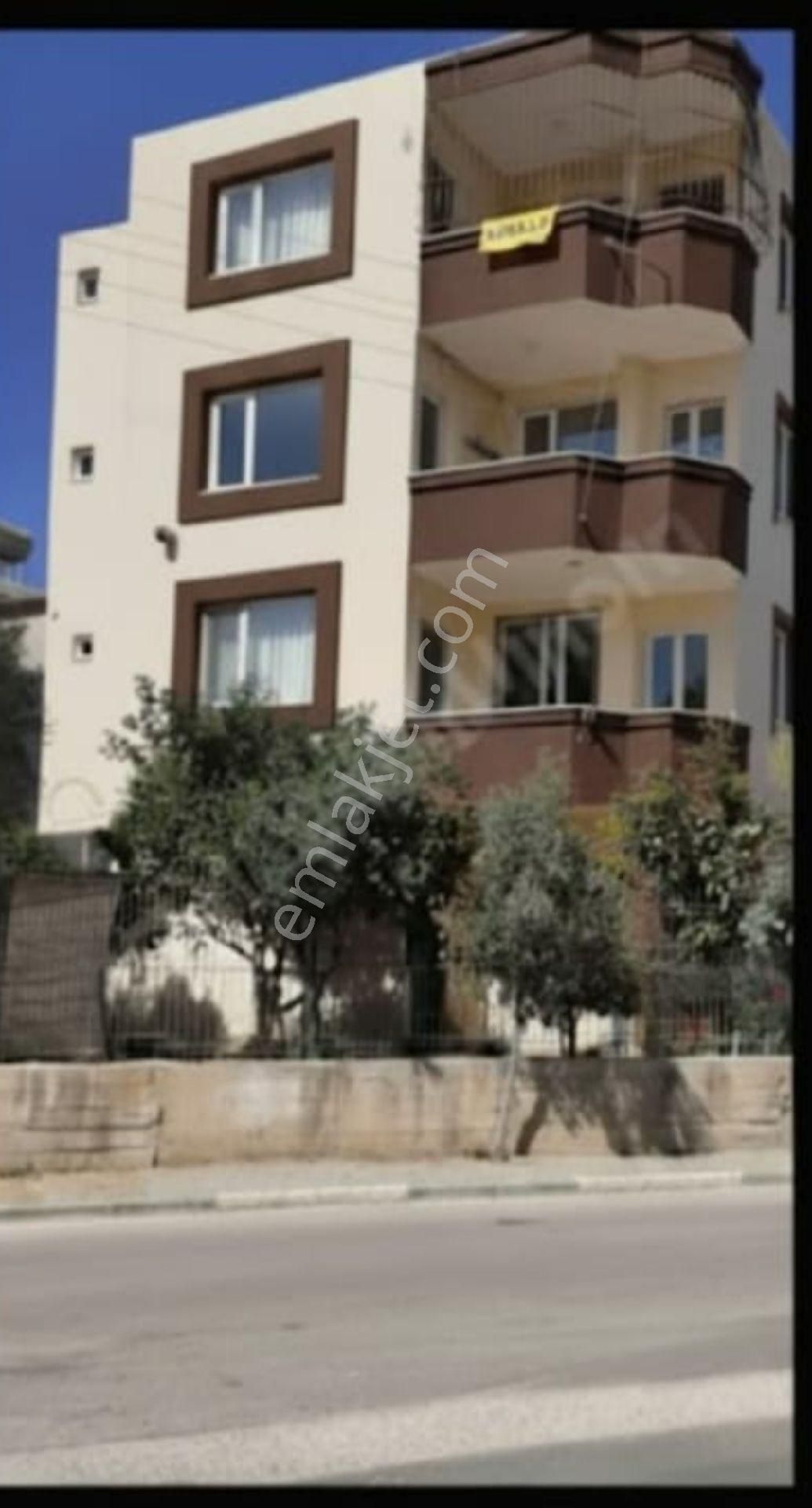 Müstakil Ev - Görsel 2